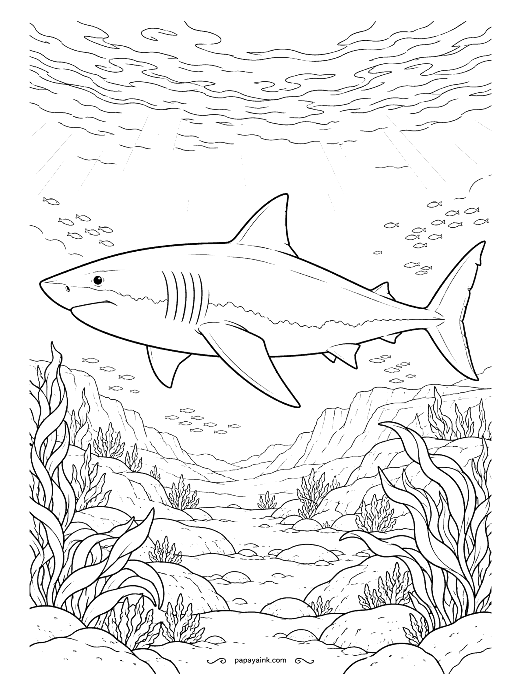 Shark Coloring Pages - From South Africa to Australia and back within a single year - that is how far one tagged great white swam. Here she cruises over a rocky reef - leave the sunbeams as bare paper and let them fall across her back.
