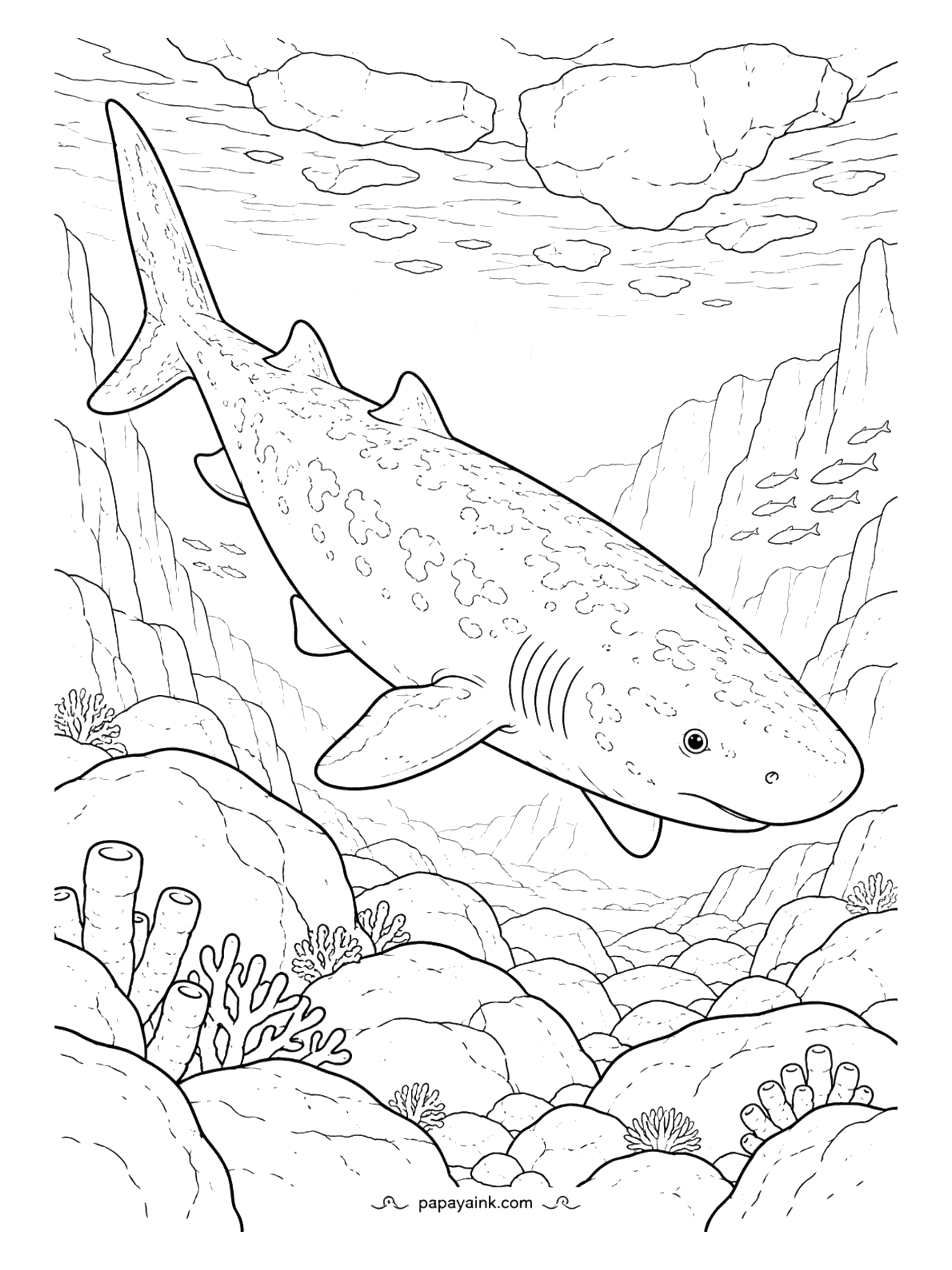 Shark Coloring Pages - Fresh Greenland shark meat is toxic. In Iceland it is fermented and dried for months into hakarl, a delicacy famous mainly for its smell. Ice floes above, steep cliffs on both sides - the mottled skin rewards a sharp pencil.
