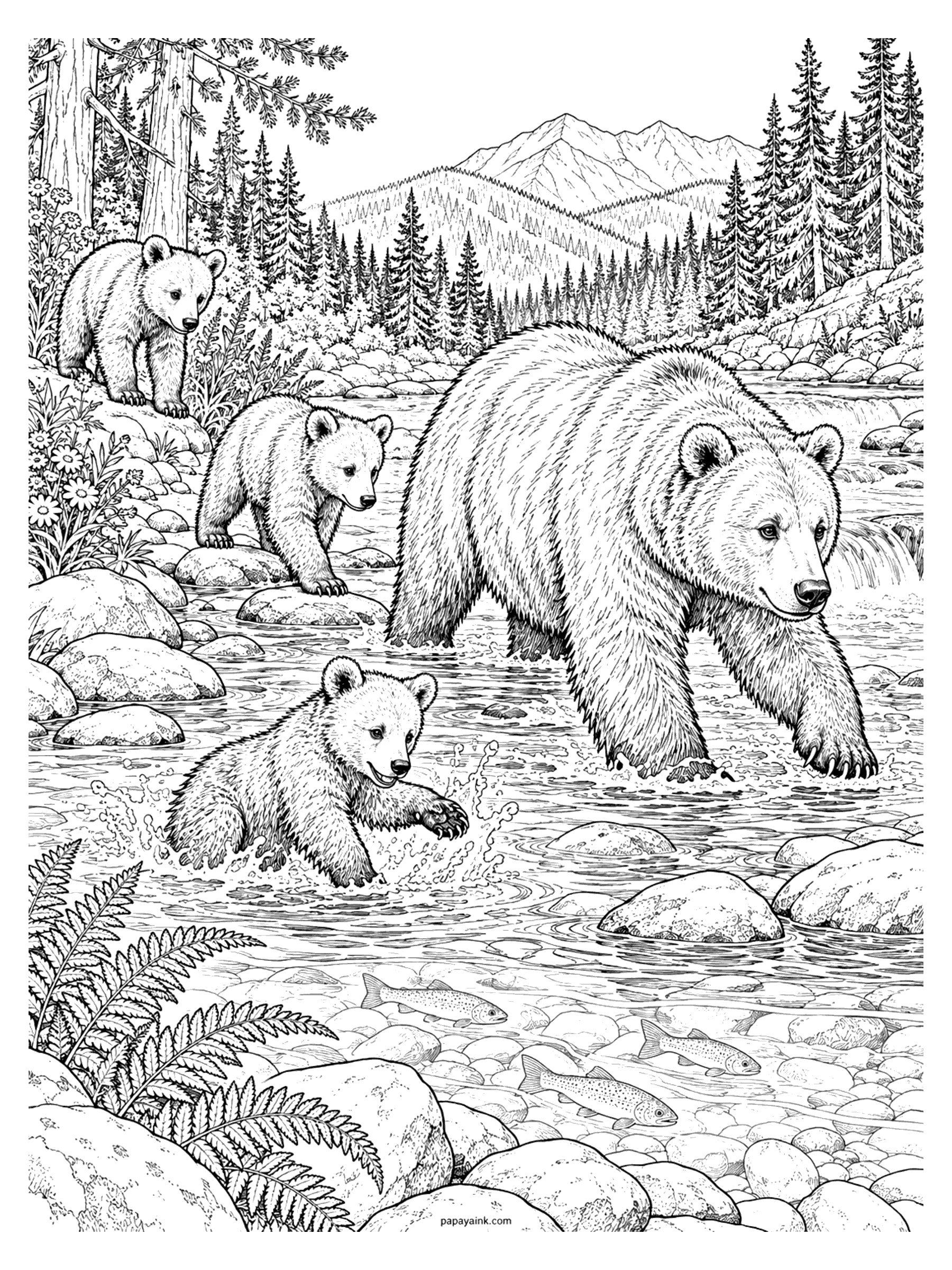 Bear Coloring Pages - Realistic grizzly bear coloring page: a mother bear leads her cubs across a rocky mountain river while one cub splashes after trout, with ferns, pines and peaks behind. Detailed.