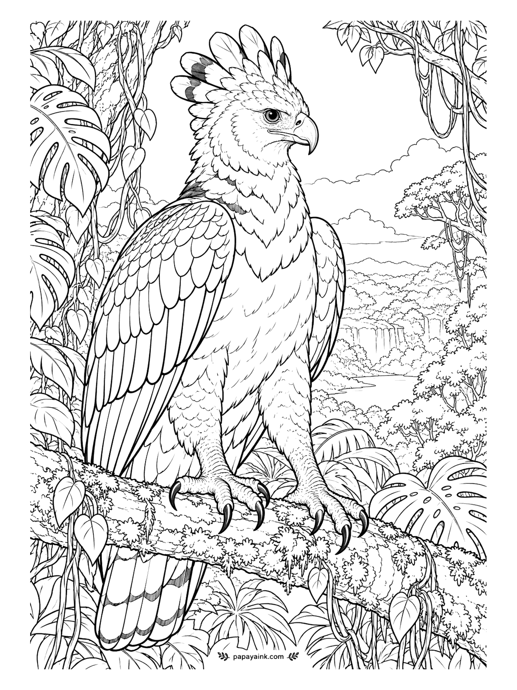 Bird Coloring Pages - Talons the size of a bear's claws, and a crest that rises when it is annoyed. The harpy eagle grips a vine-wrapped branch over a misty rainforest valley. Slate gray above, white below, a black band across the chest. Detailed.