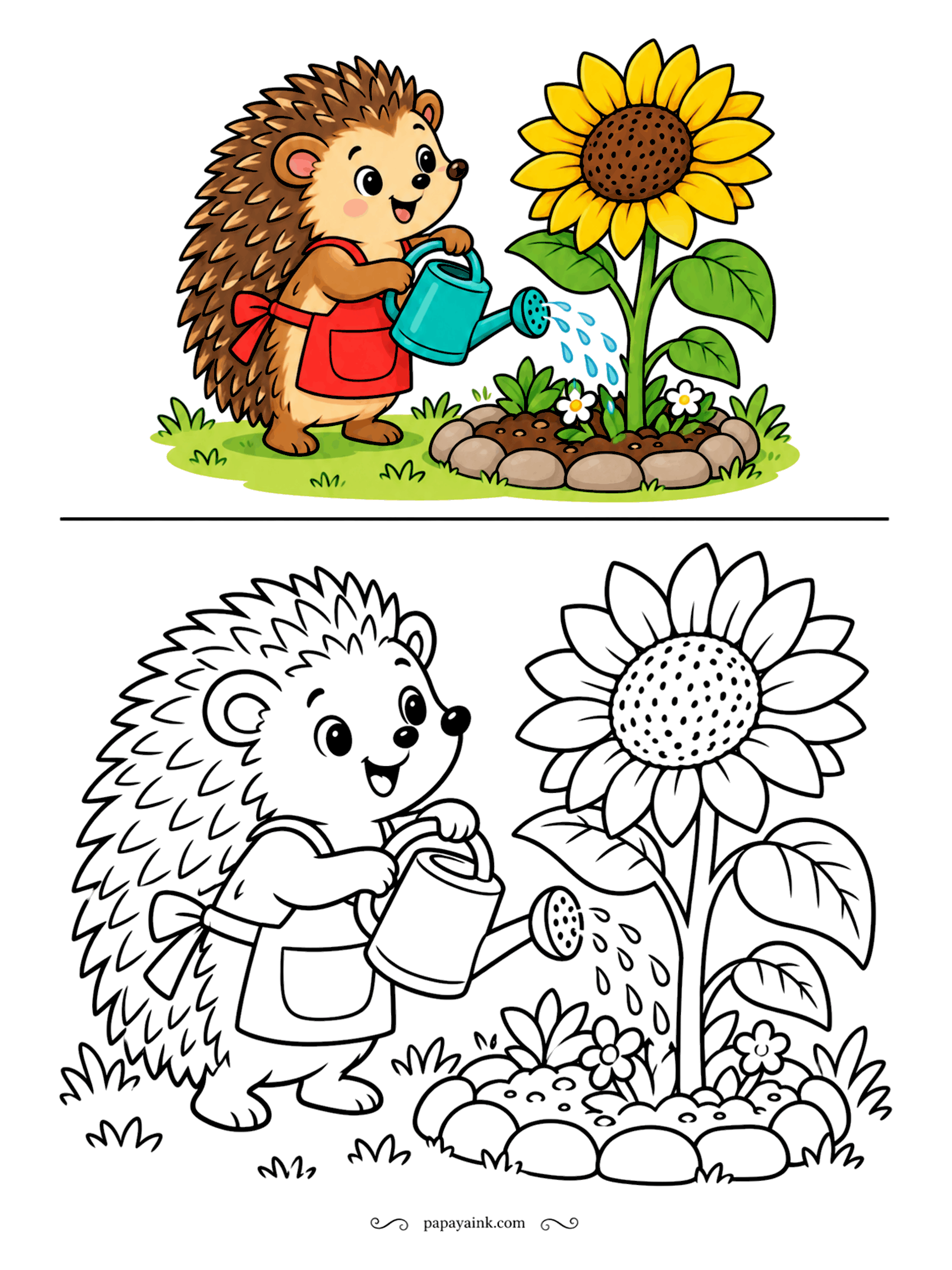 Copy Coloring Pages - A hedgehog in a red apron is watering the sunflower in her garden bed, with water arcing from the can's spout. The prickles go quickly in short strokes of brown. Sunflower centers look best dark, with a gold ring of petals.