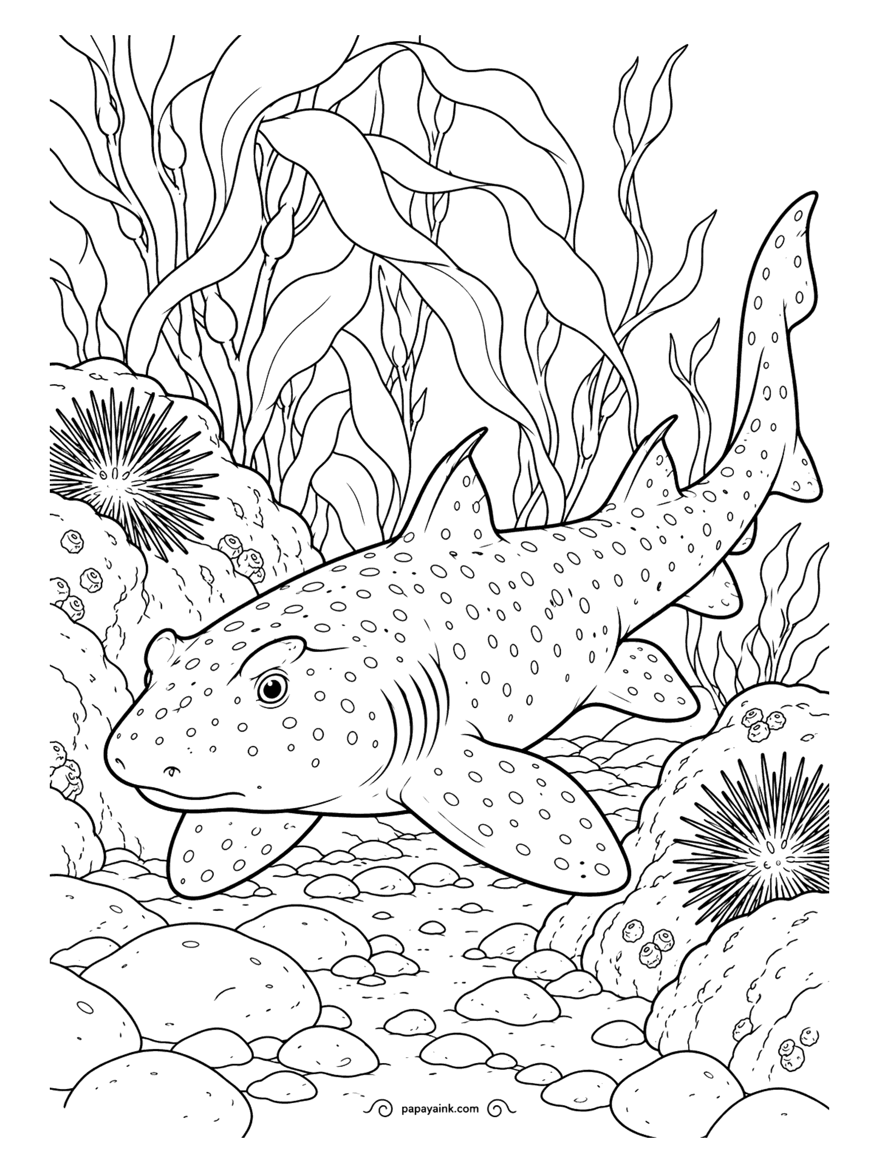 Shark Coloring Pages - Homebody of the shark world, the horn shark lives in a small patch of reef and often returns to the same cave day after day. It clambers over rocks using its paddle-like fins. Spotted body, spiky urchins, lots of round pebbles.