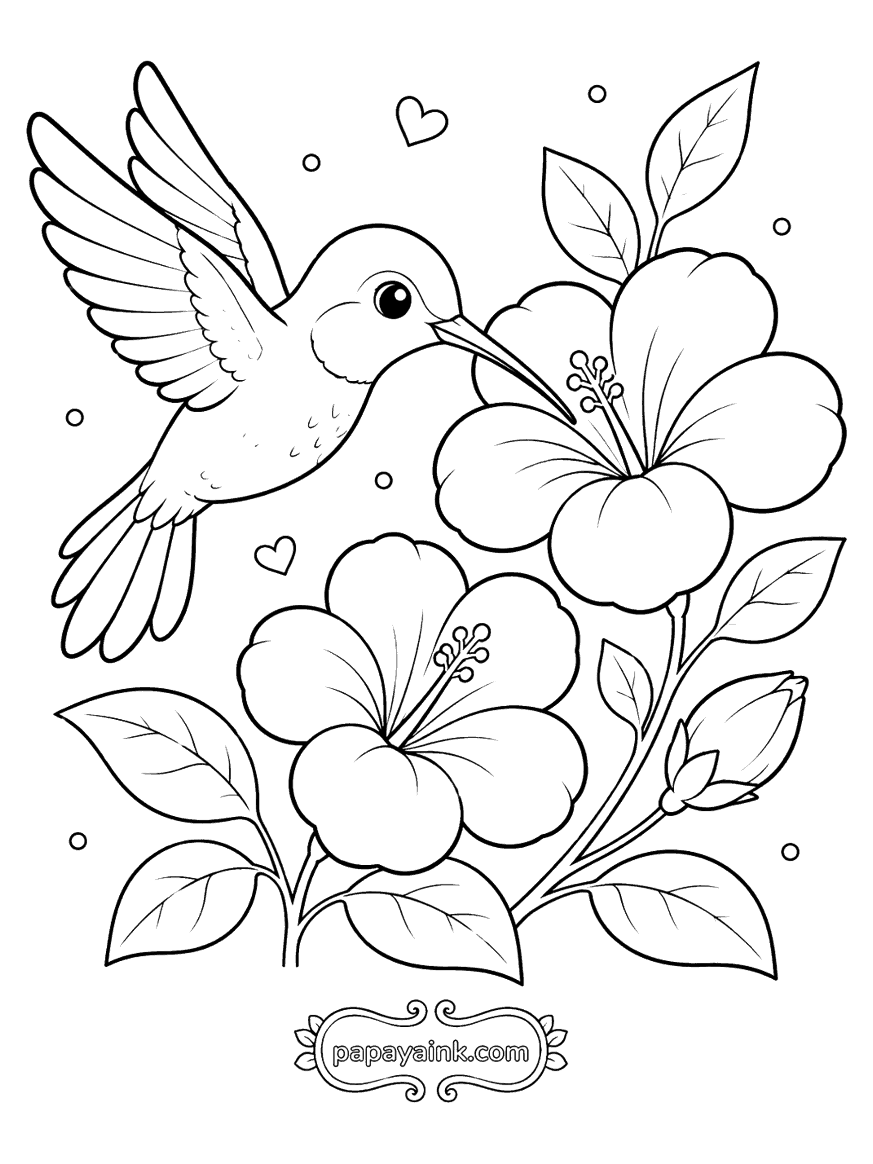 Bird Coloring Pages - Hummingbird and Hibiscus Flowers