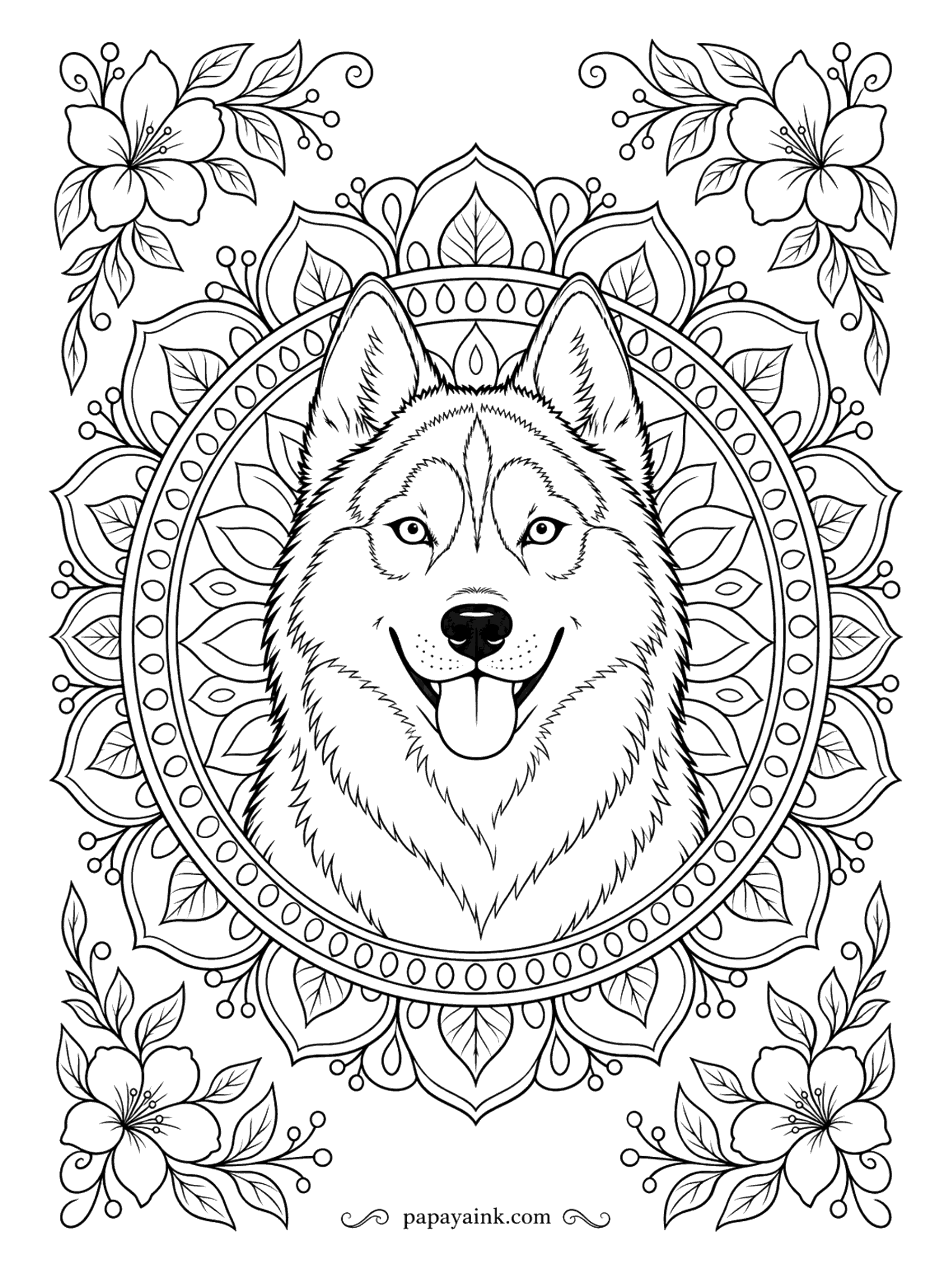 Husky Coloring Pages - A portrait for patient hands. The husky's face sits in the center of a beaded ring, framed by layered petals and flowering branches in every corner. A detailed mandala page for adults - fine liners or sharp pencils work best.