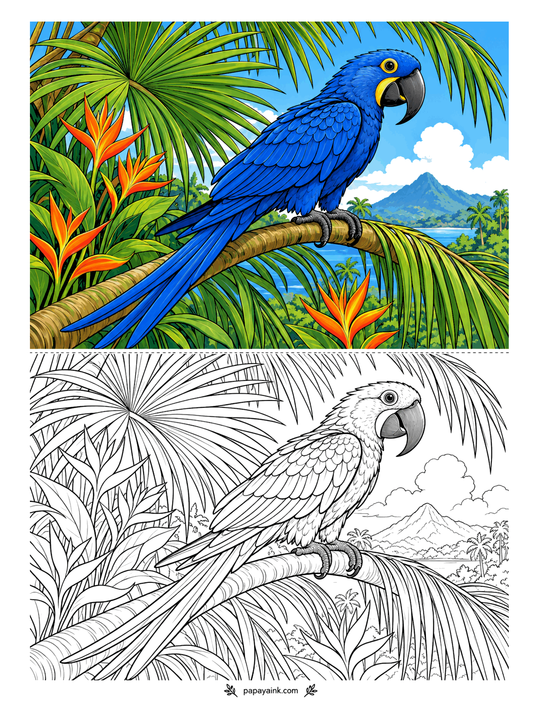 Bird Coloring Pages - Longest parrot alive, and the bluest. A hyacinth macaw looks down the coast from a palm branch, volcano hazy behind, orange blooms burning below. One cobalt for the entire bird; yellow only for the eye ring and the patch beside the beak.