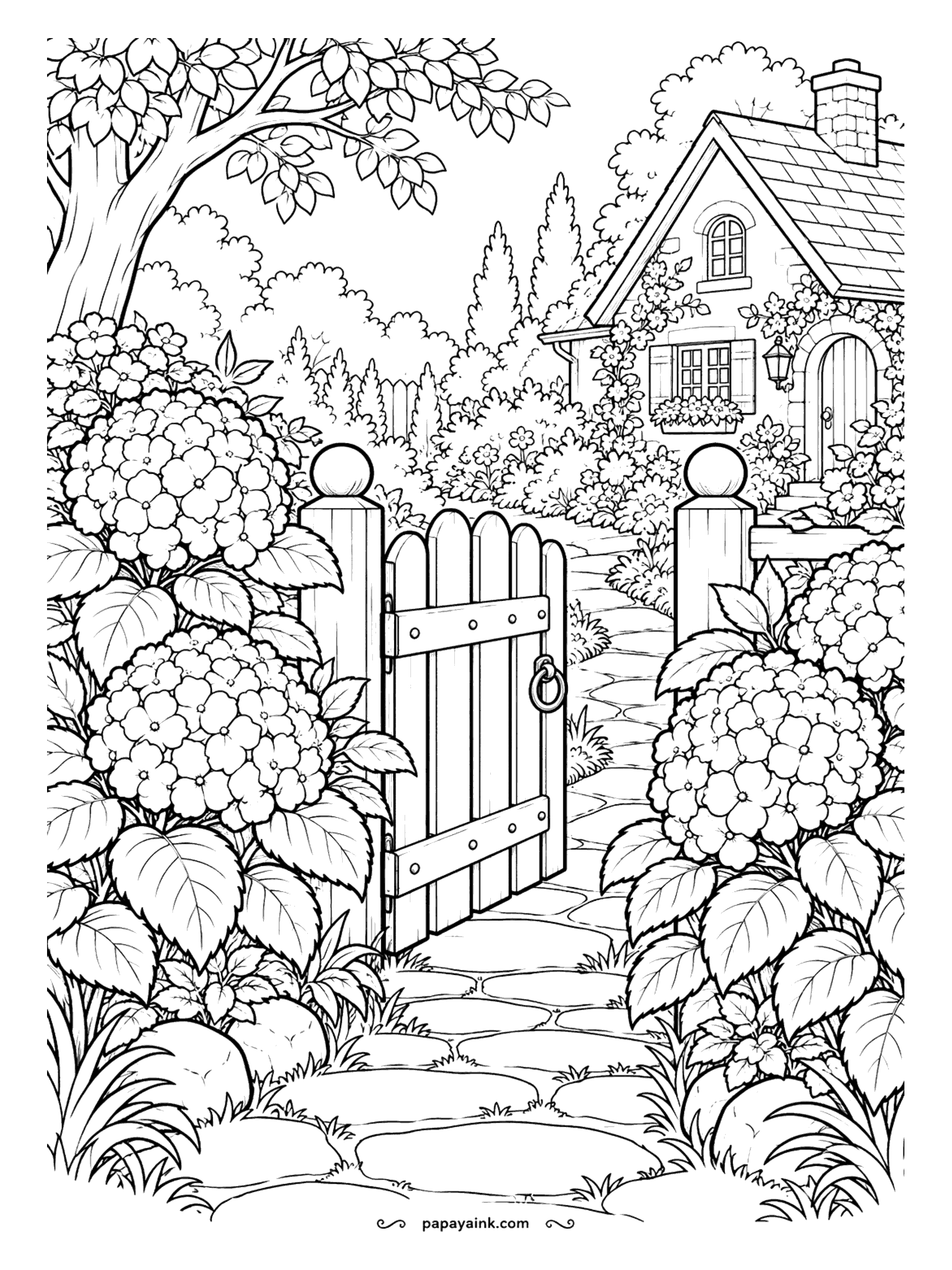 Flower Coloring Pages - Hydrangea color depends on the soil: acidic ground turns the blooms blue, alkaline ground turns them pink. Color the ones by this garden gate either way - or one of each. A cottage waits at the end of the path.
