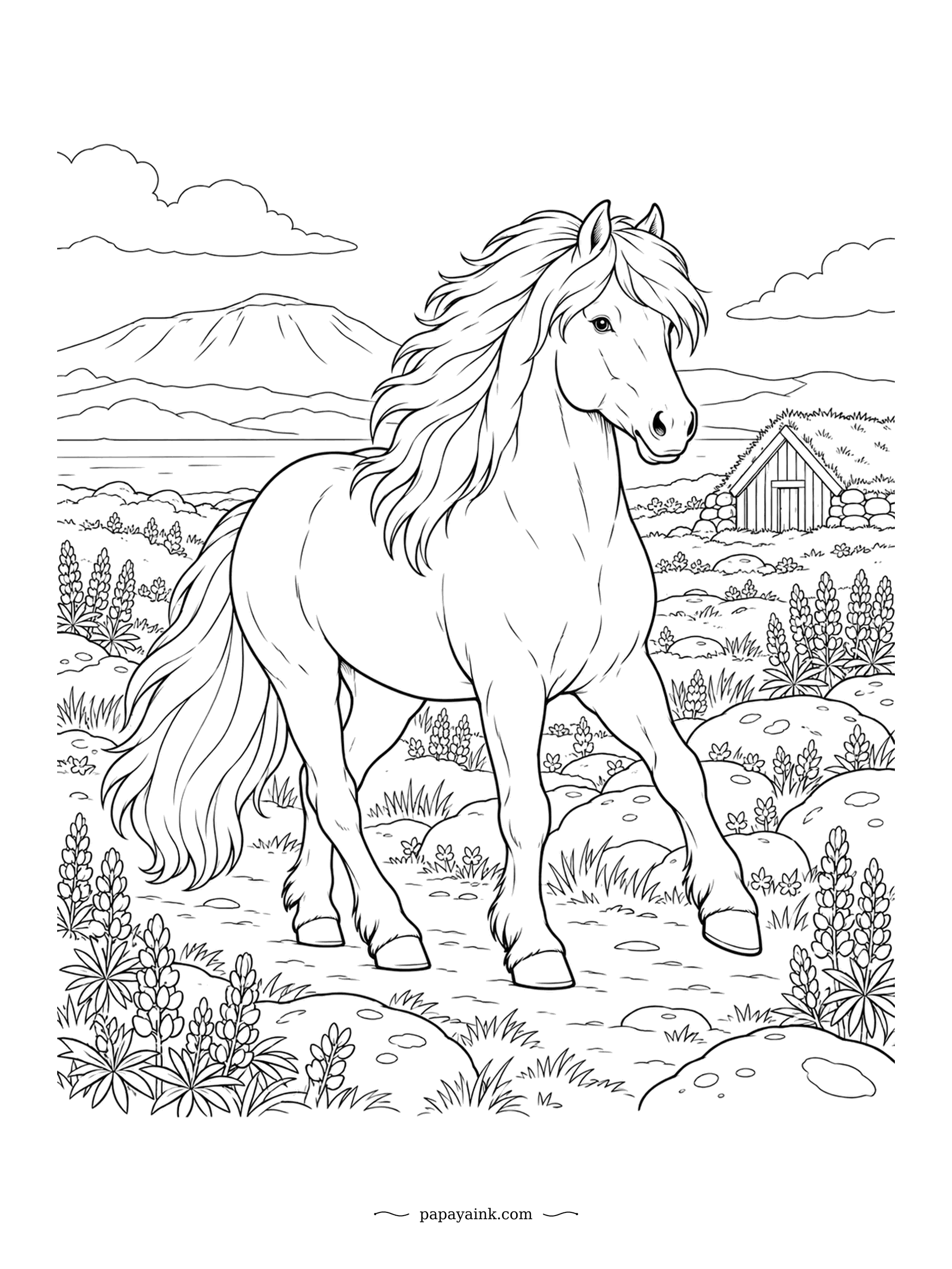 Horse Coloring Pages - Trotting through lupines over old lava, a turf-roofed house in the distance. Icelandic horses have been kept pure for a thousand years, since no horse may enter the island, and they have a fifth gait the rest of the world lacks. Thick forelock, mountain light.