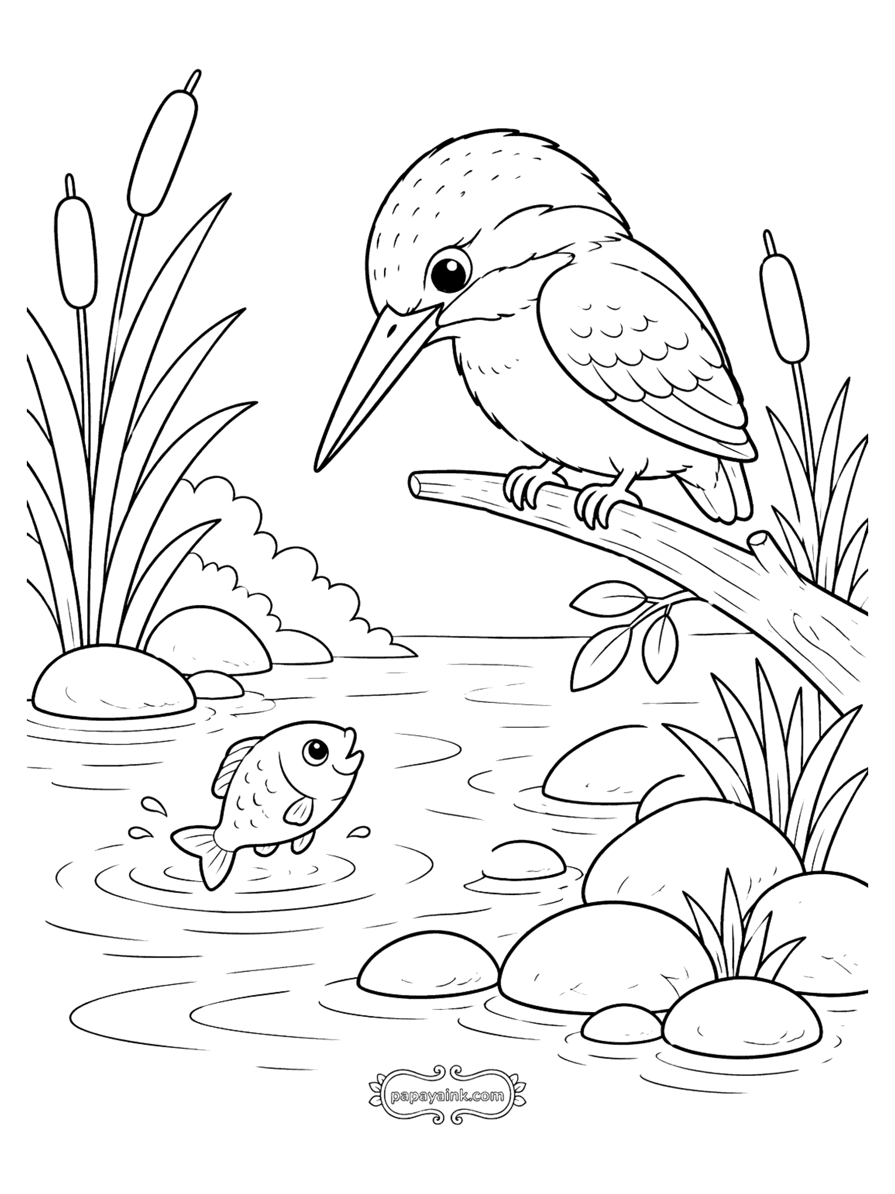 Bird Coloring Pages - Kingfisher Watching a Fish (Detailed)