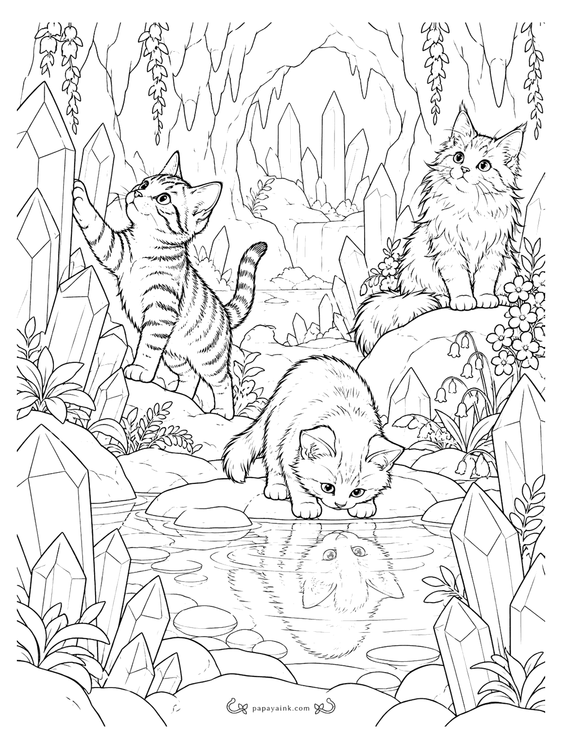 Kitten Coloring Pages - Kittens exploring a sparkling crystal cave, one gazing at its reflection in a still pond and one touching a tall crystal. Detailed.
