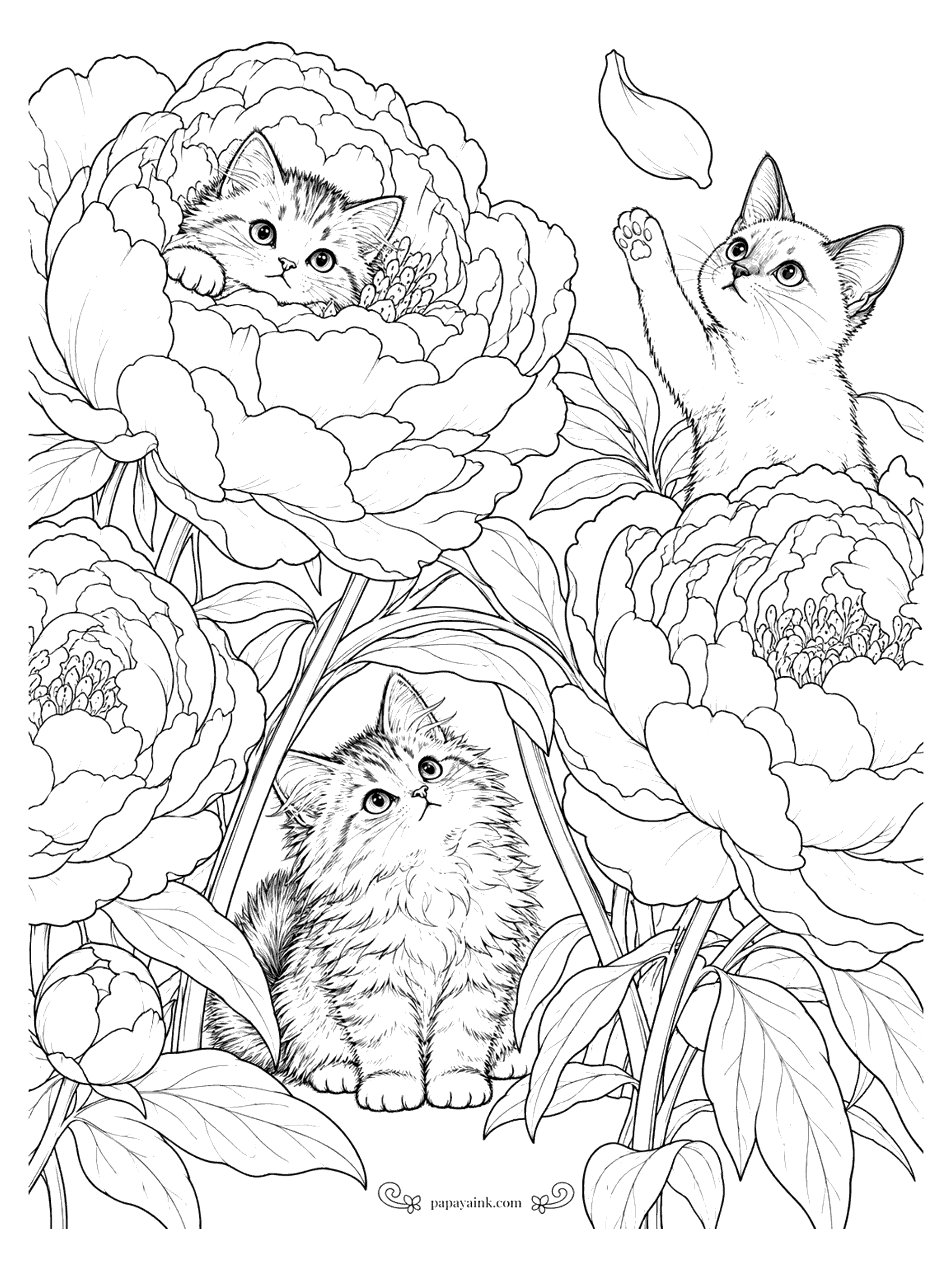Kitten Coloring Pages - Three kittens hiding and playing among giant peony blossoms, one nestled inside a flower, one batting at a falling petal. Detailed.