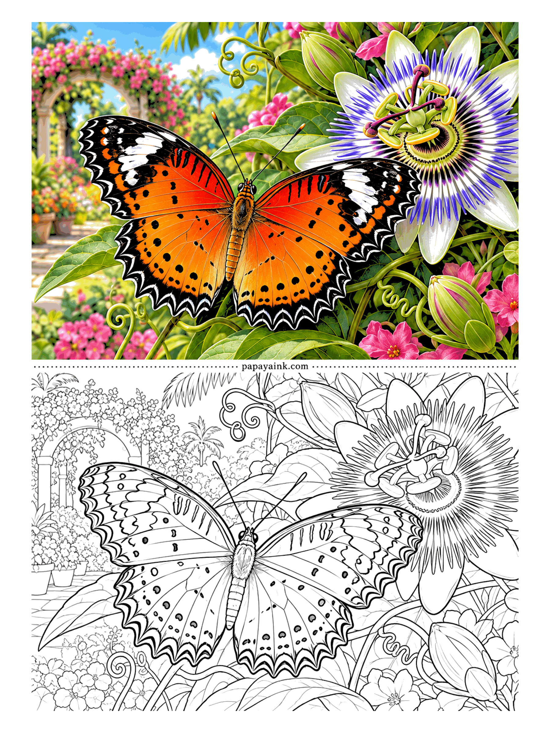 Butterfly Coloring Pages - The strangest bloom in the garden, a blue passionflower with its fringe of purple filaments, has a leopard lacewing for company. Orange wings edged in black lace; the flower deserves at least three shades of violet and some patience for the fringe.