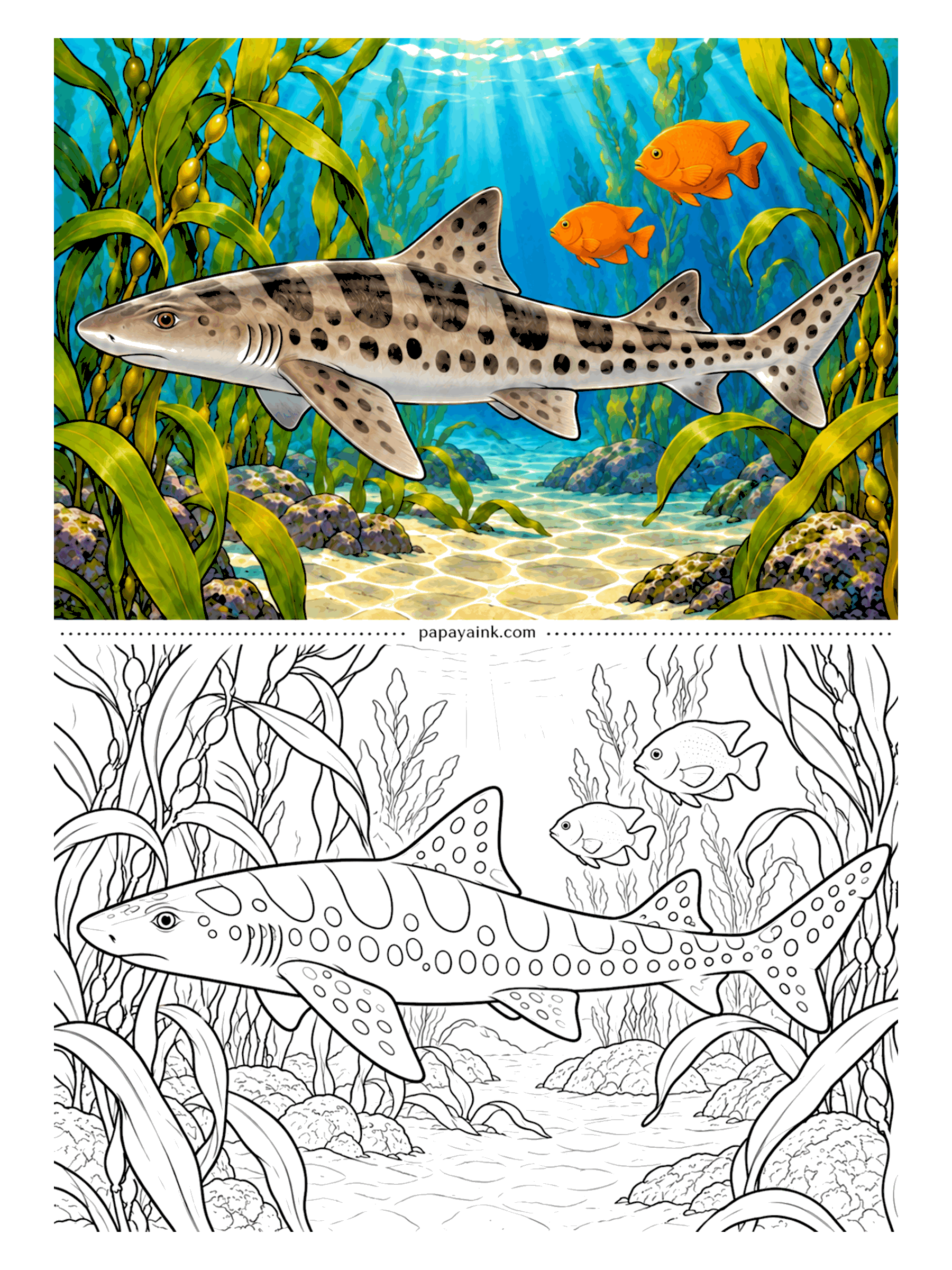 Shark Coloring Pages - Saddles and spots, kelp, and a pair of orange garibaldi - this is the California coast. Leopard sharks are harmless to people and gather in warm, shallow bays every summer. The garibaldi are the excuse for your brightest orange.