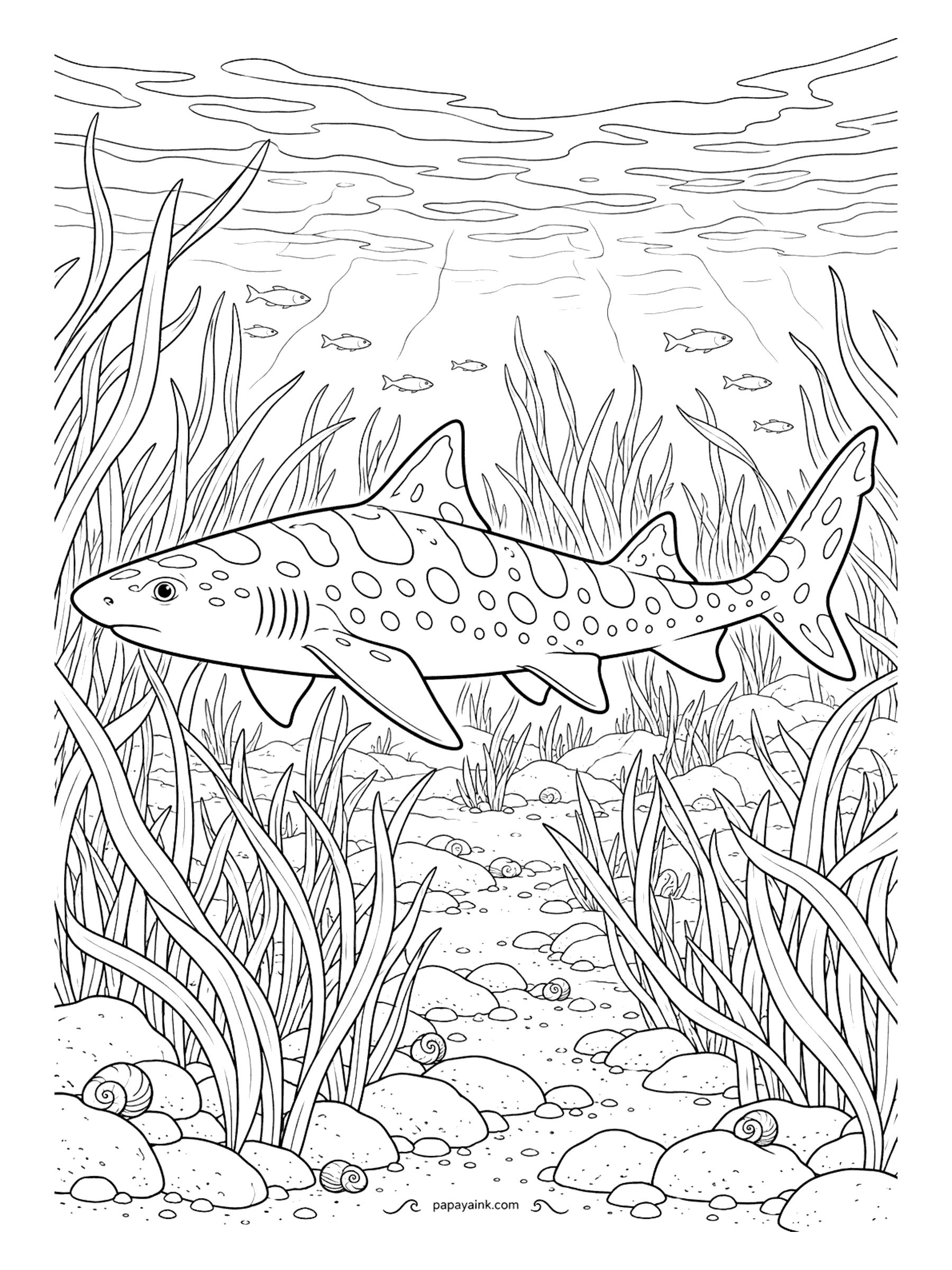 Shark Coloring Pages - When the tide comes in, leopard sharks follow it onto the flats to dig for clams and worms, then slip back out as the water drops. Dark saddles across the back, round spots in between - two shades of brown are enough.