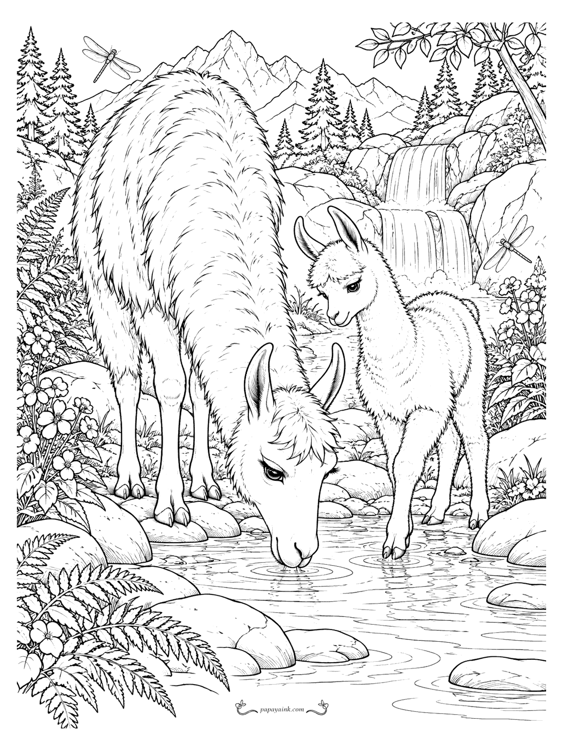 Llama Coloring Pages - A llama bends to drink from a clear mountain stream beside its cria, with ferns, wildflowers, a waterfall and dragonflies framing the pool.