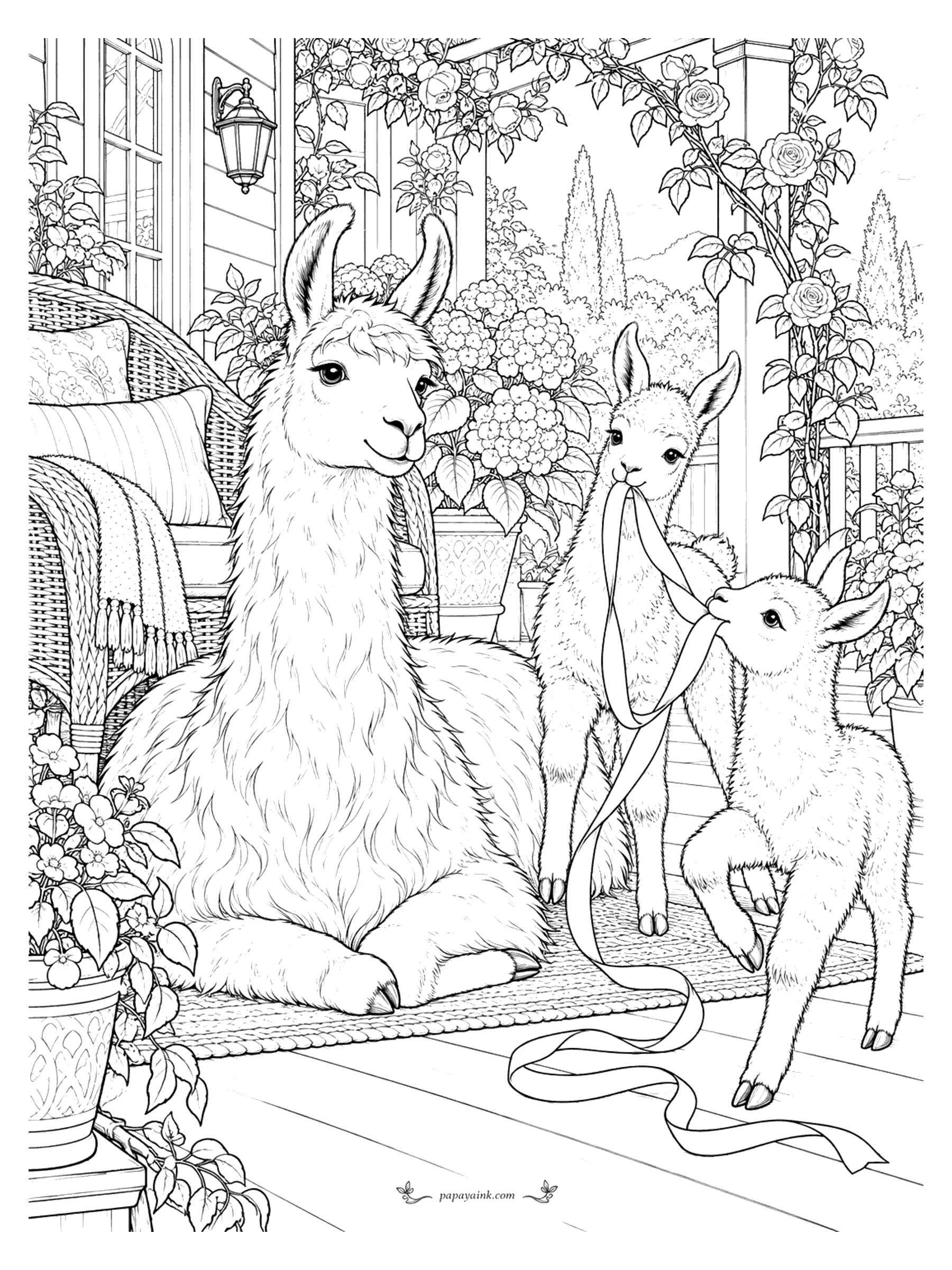 Llama Coloring Pages - A llama rests on a rose-covered porch beside a wicker chair as two playful crias tug a long ribbon between them.