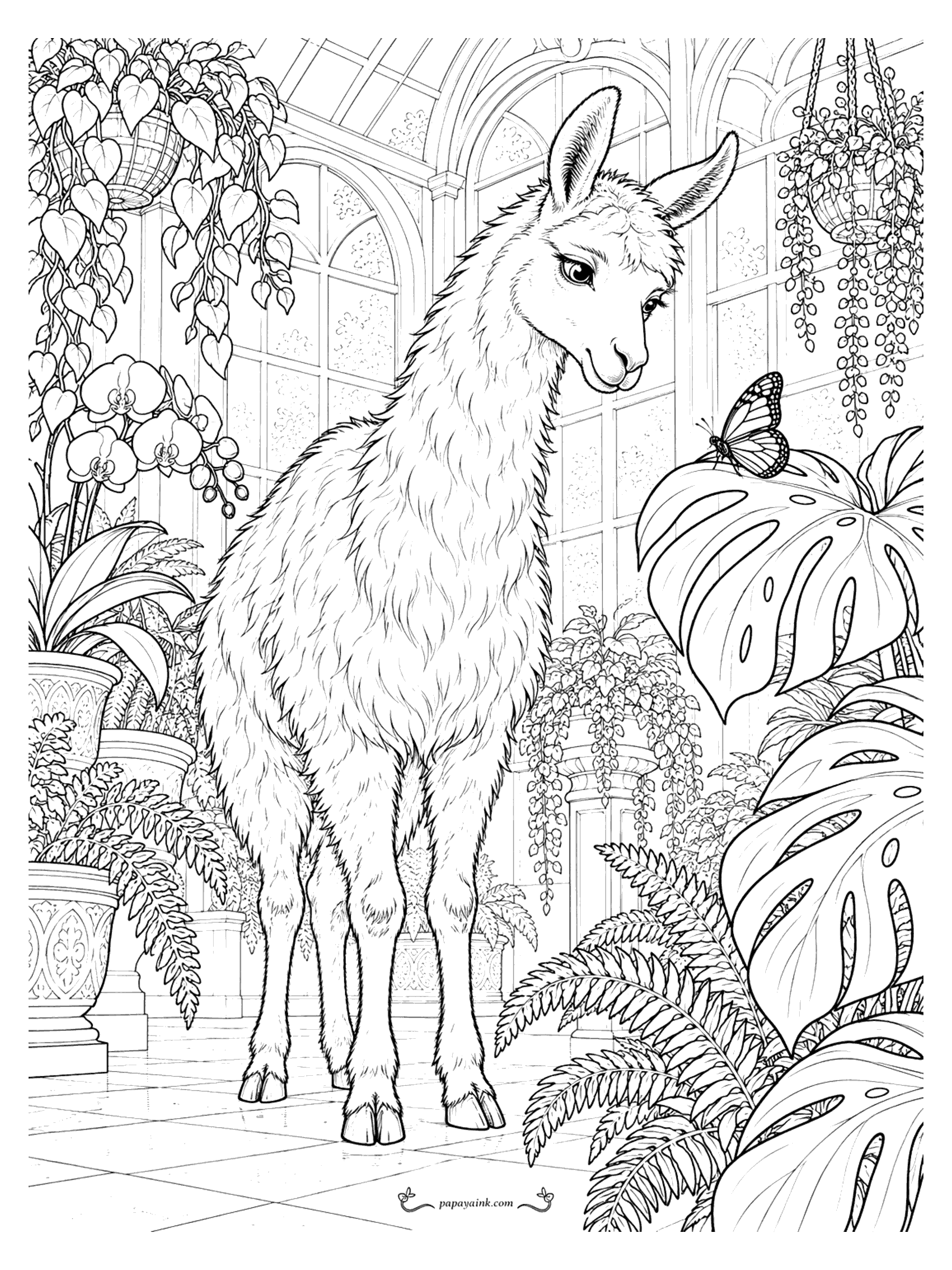 Llama Coloring Pages - A llama pauses inside a glass conservatory among orchids, ferns, hanging planters and huge monstera leaves as a butterfly lands nearby. Detailed
