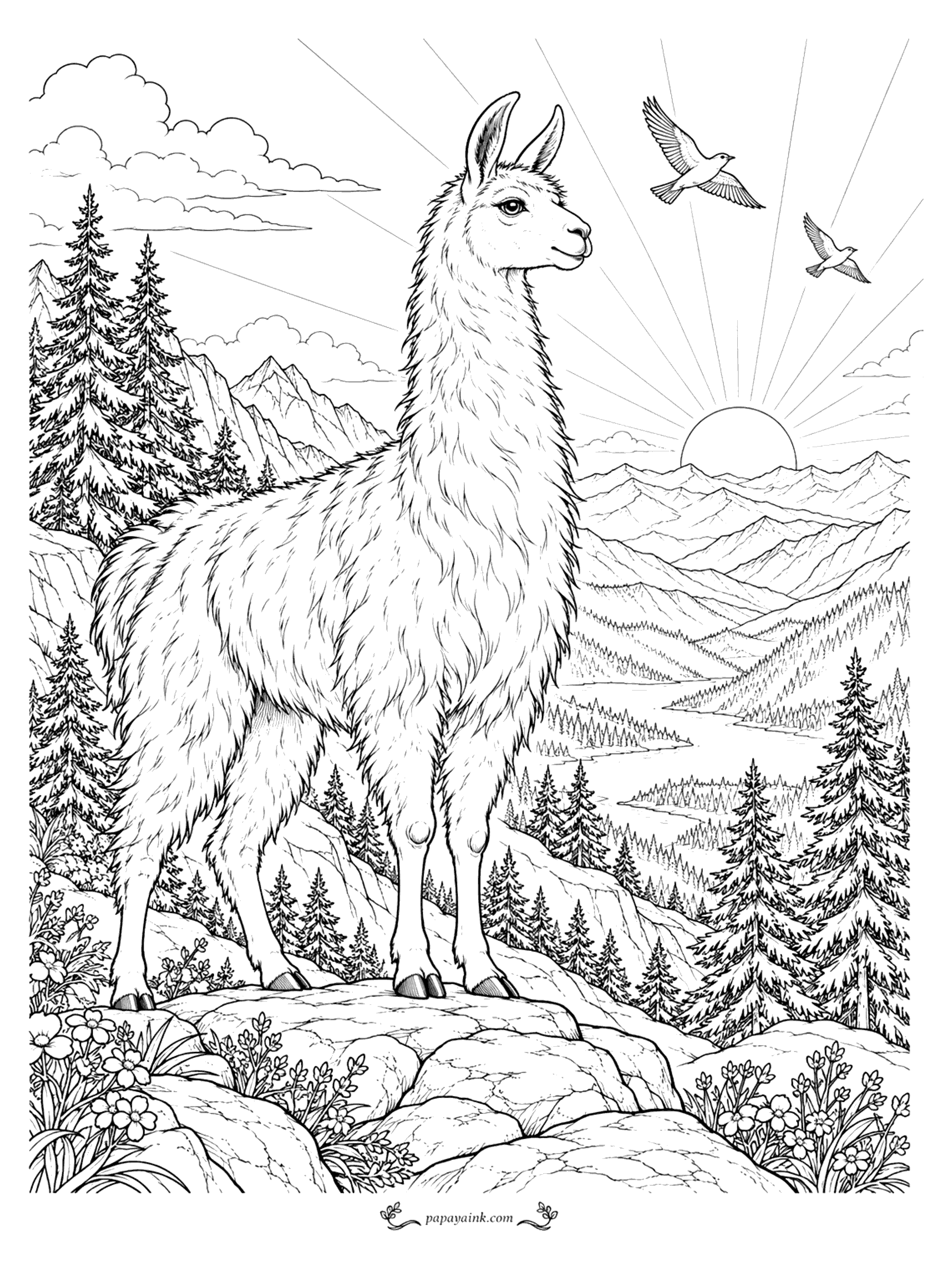 Llama Coloring Pages - A lone llama stands on a rocky ledge above a river valley as the sun rises behind the peaks and birds cross the rays of light. Detailed
