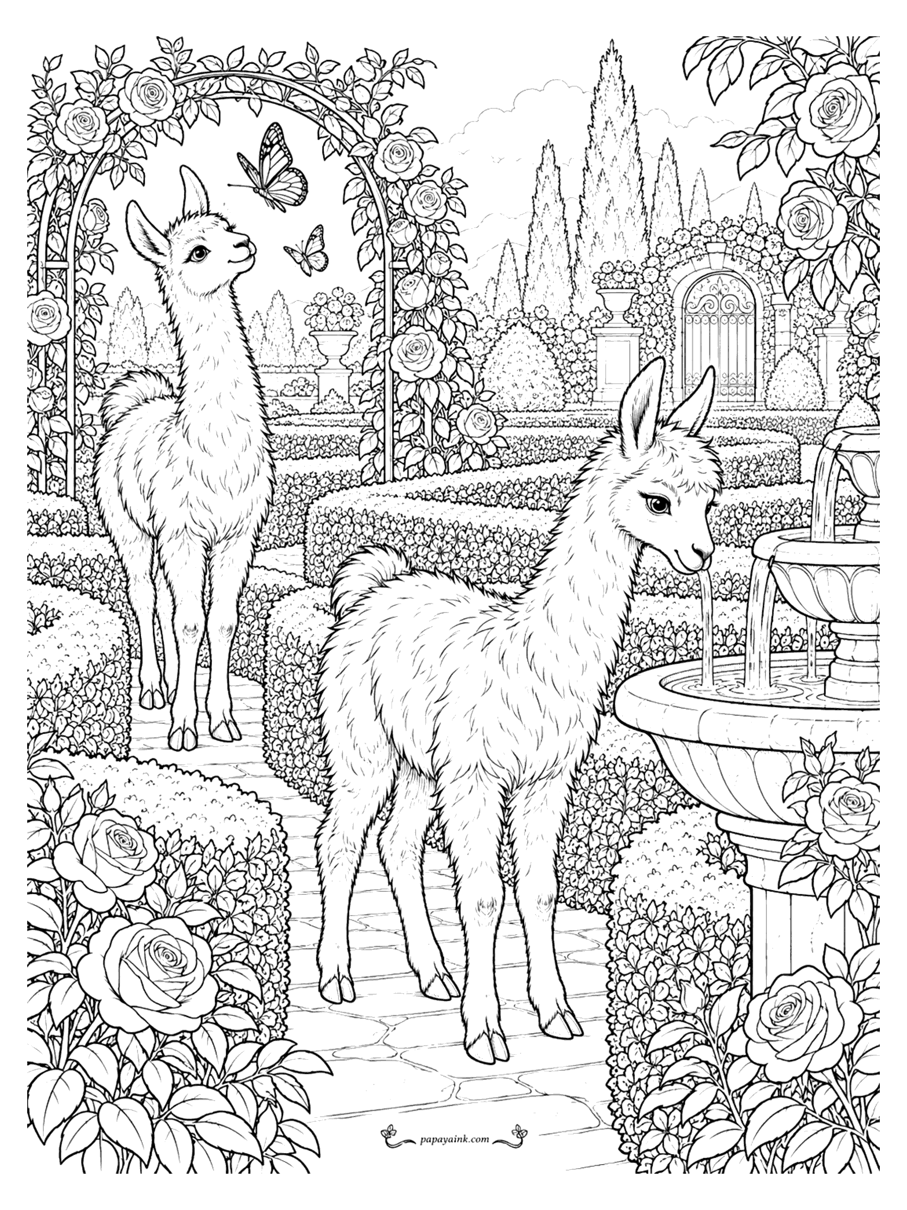 Llama Coloring Pages - Two llamas wander a formal rose garden with a tiered fountain, clipped hedges, a rose arch and butterflies fluttering overhead. Detailed