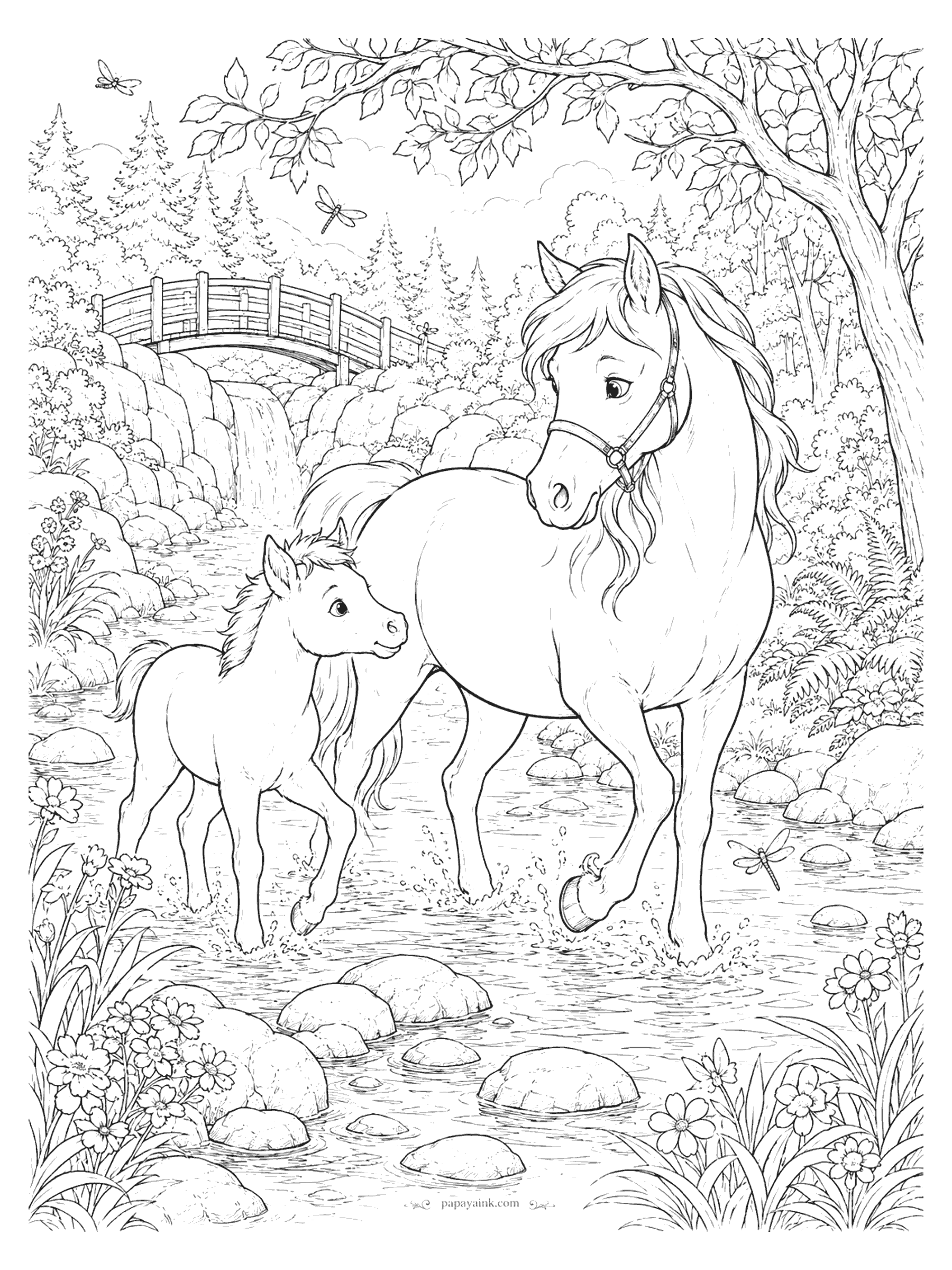 Horse Coloring Pages - A mare and her foal splash through a rocky forest stream beneath a wooden bridge, with dragonflies and a small waterfall behind them. Detailed.