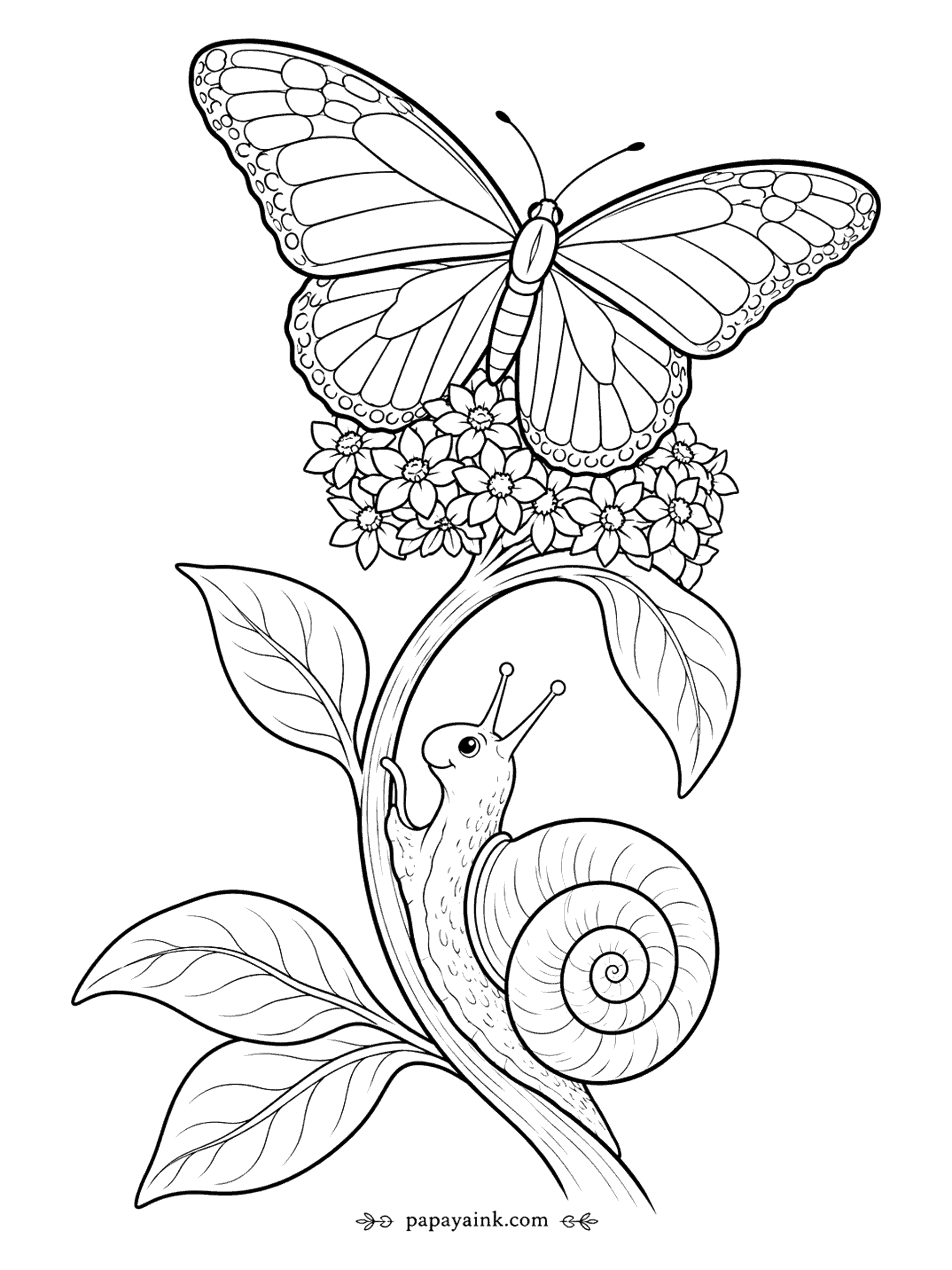 Butterfly Coloring Pages - Monarch Butterfly Coloring Page: Flowering Branch with a Snail