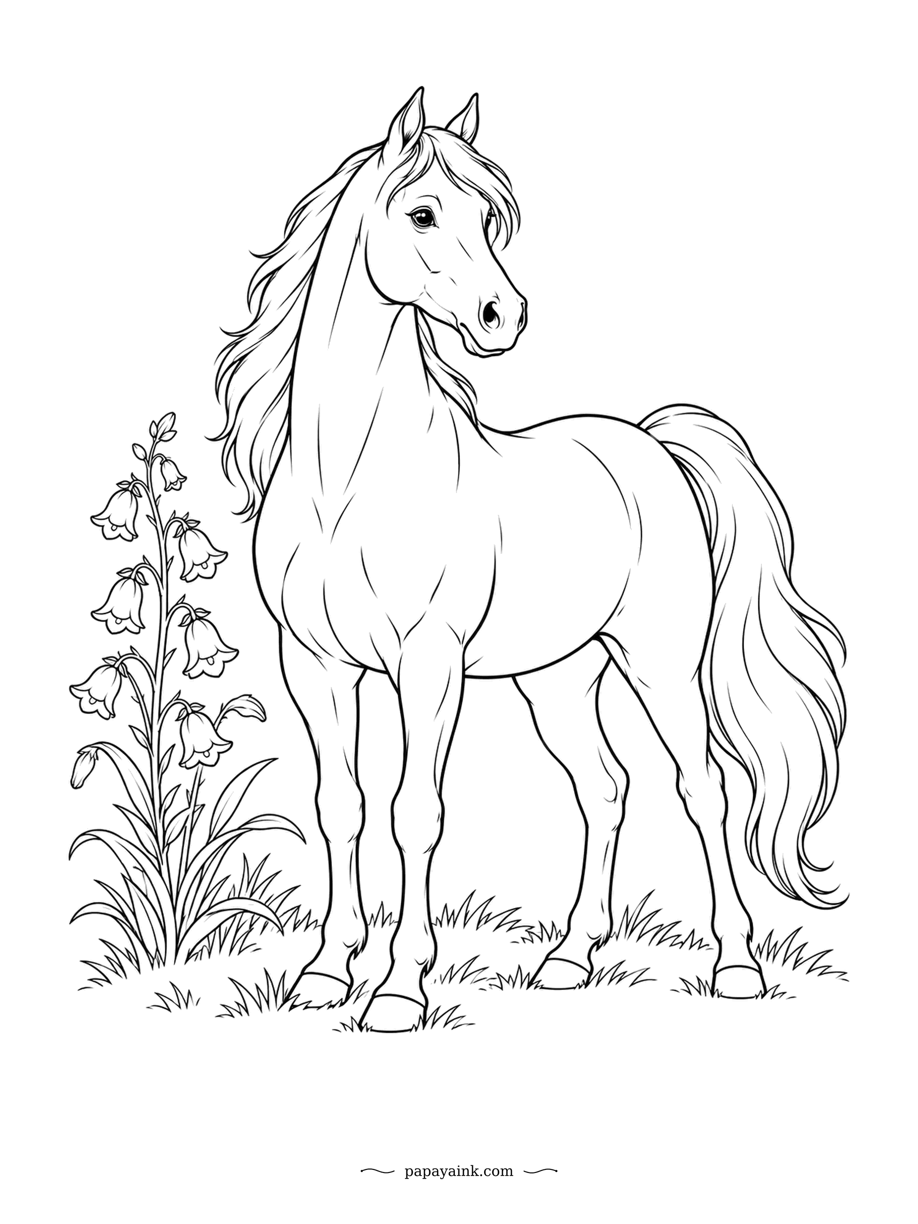 Horse Coloring Pages - A compact horse in a plain meadow, bellflowers on one side and nothing else to distract. Every Morgan traces back to a single stallion in Vermont in the late seventeen-hundreds, which makes it one of the first American breeds. Clean lines, quick to finish.