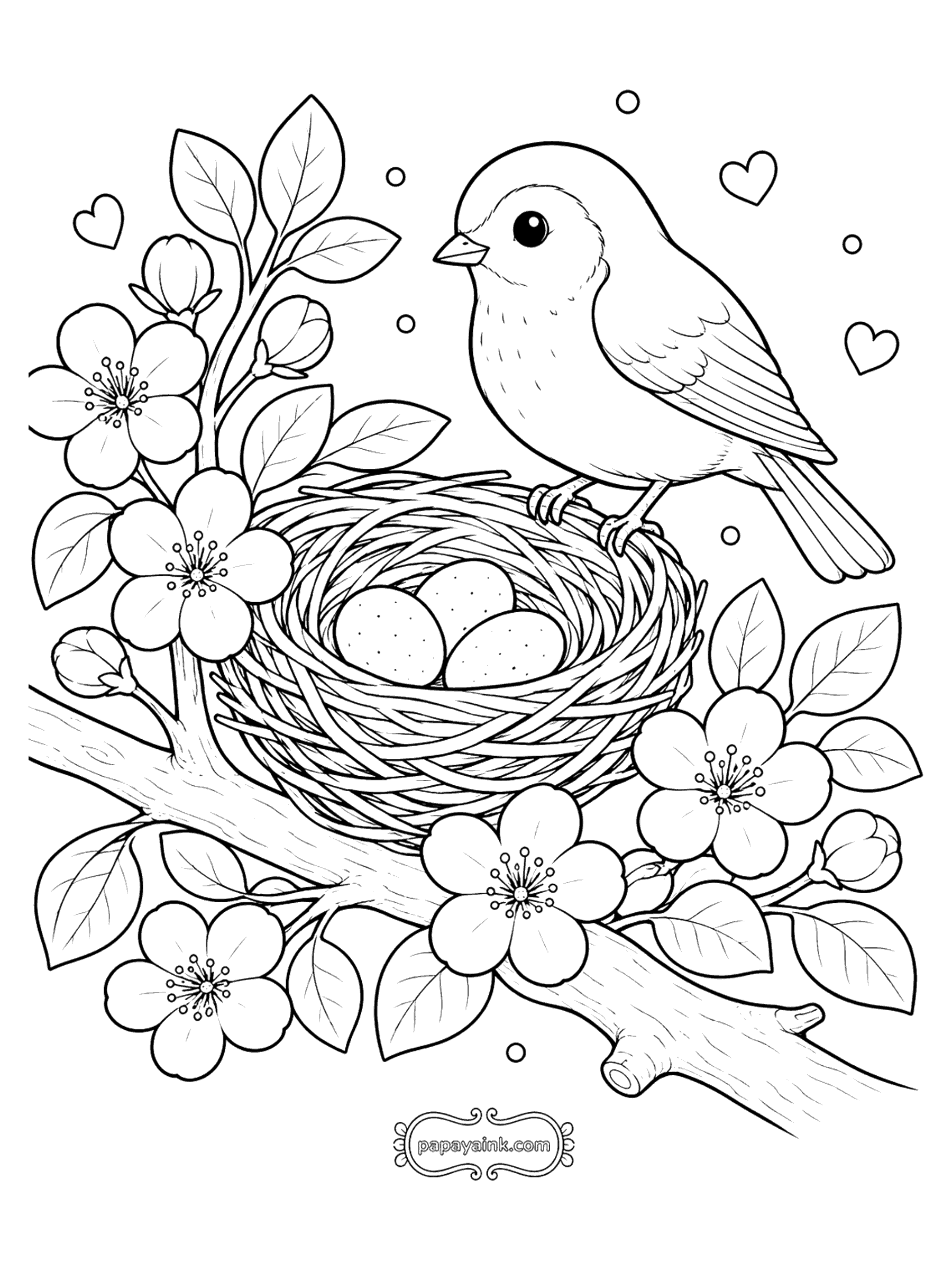 Bird Coloring Pages - Mother Bird on a Nest of Eggs