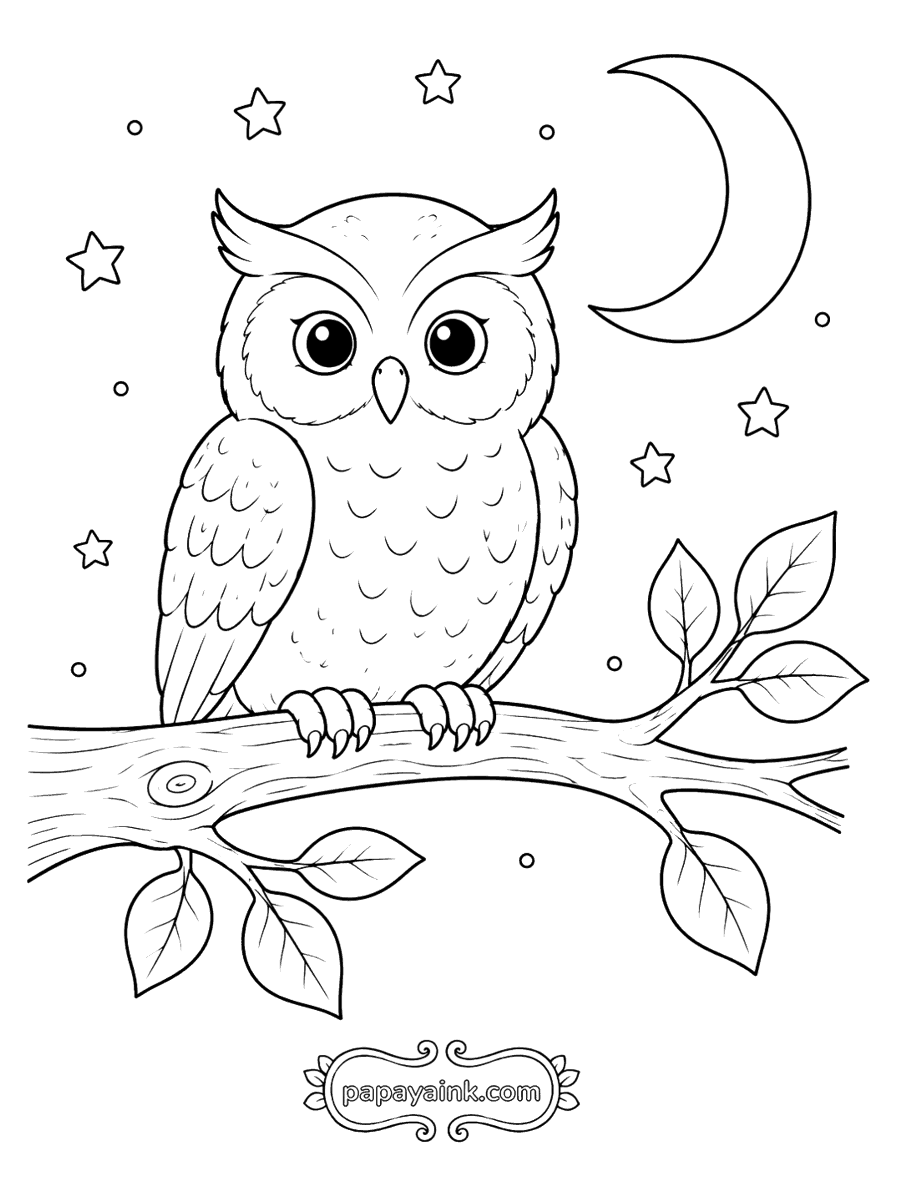 Bird Coloring Pages - Owl on a Branch Under the Moon