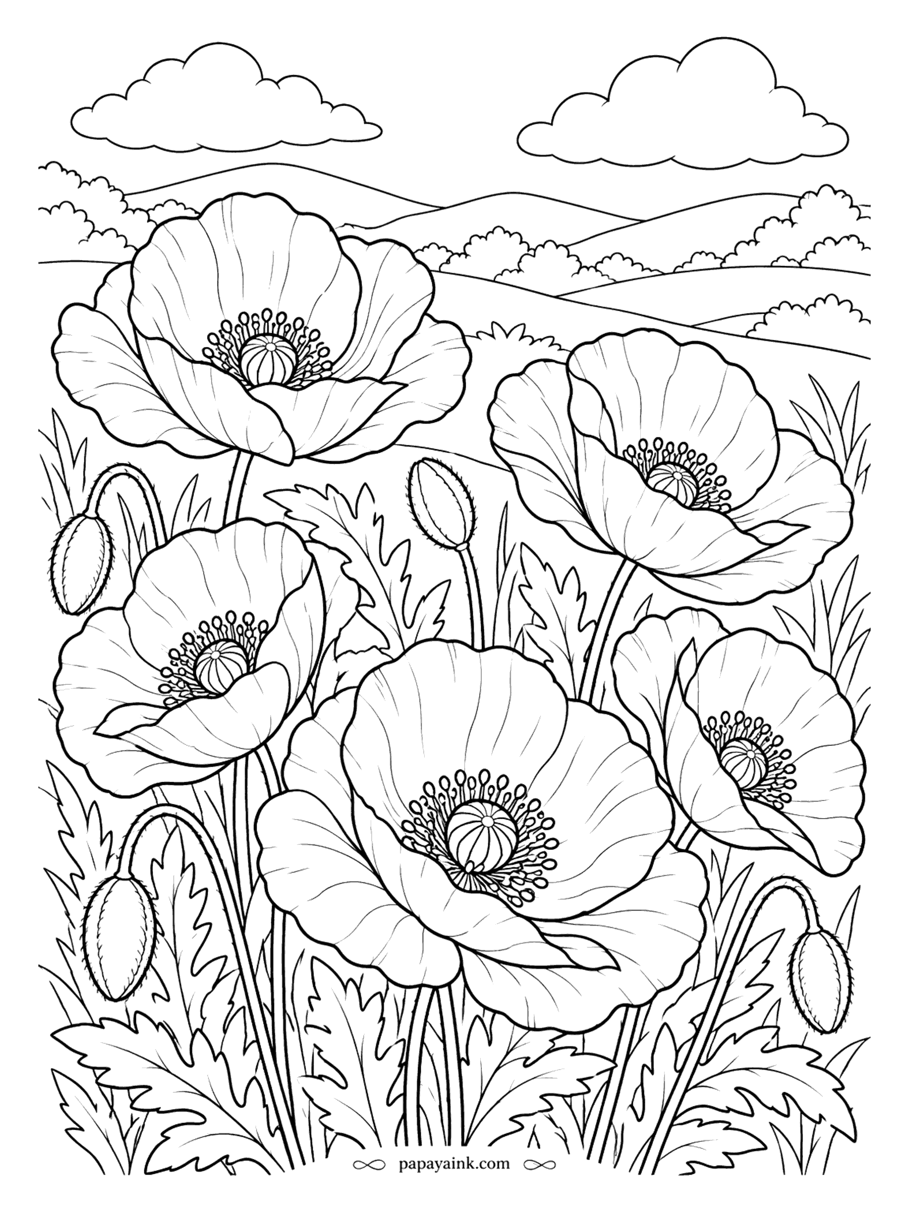 Flower Coloring Pages - Seen up close, poppy petals look like crumpled tissue paper, and the seed pods with their flat crowns are almost as interesting. The field runs all the way to the hills. Red is traditional; orange, pink and white poppies grow wild too.
