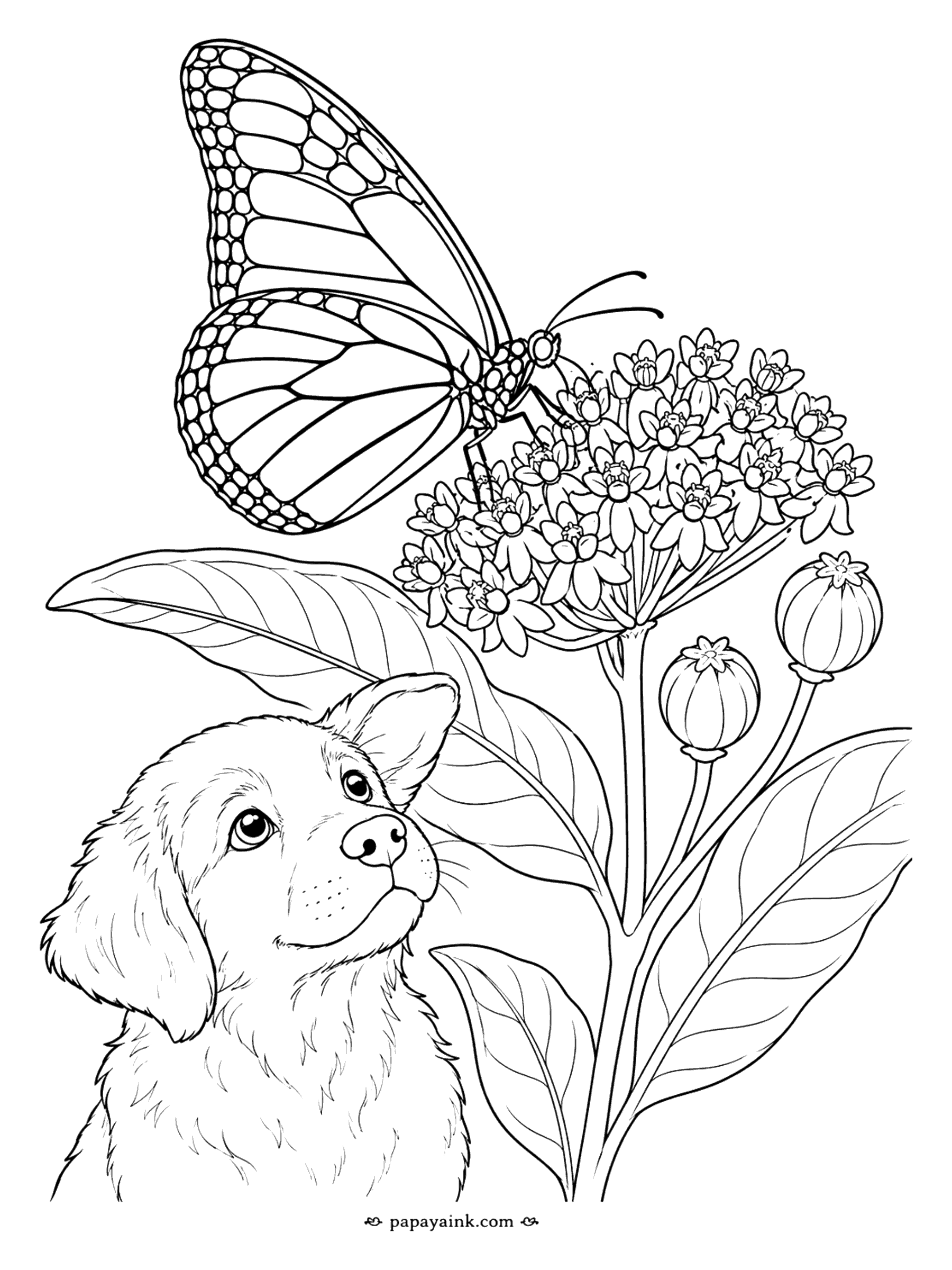 Butterfly Coloring Pages - Puppy and Butterfly Coloring Page: Monarch on Milkweed