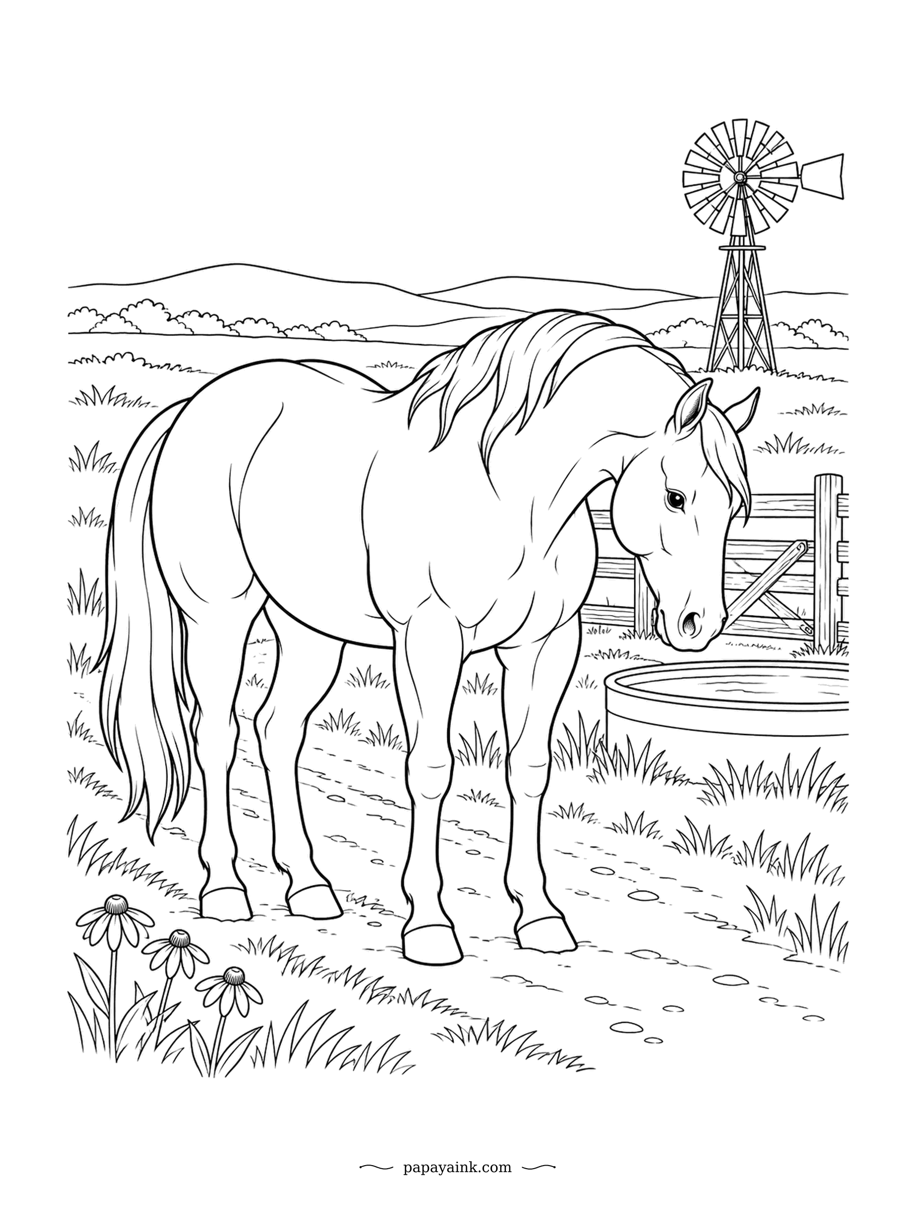 Horse Coloring Pages - Head down to the trough beside the windpump, prairie grass to the horizon, coneflowers by the fence. The Quarter Horse was named for winning quarter-mile races, and it is the most numerous breed in the world today. Big sky, keep it light.