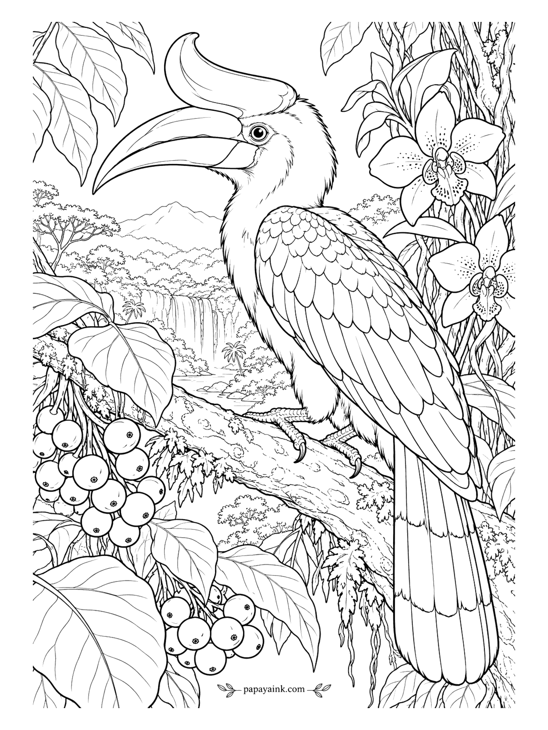 Bird Coloring Pages - Hollow horn on top of the beak, and it makes the call carry. A rhinoceros hornbill sits on a mossy branch with wild figs, orchids and a waterfall in the valley. Black body, white tail with a black band, the casque orange fading to red.