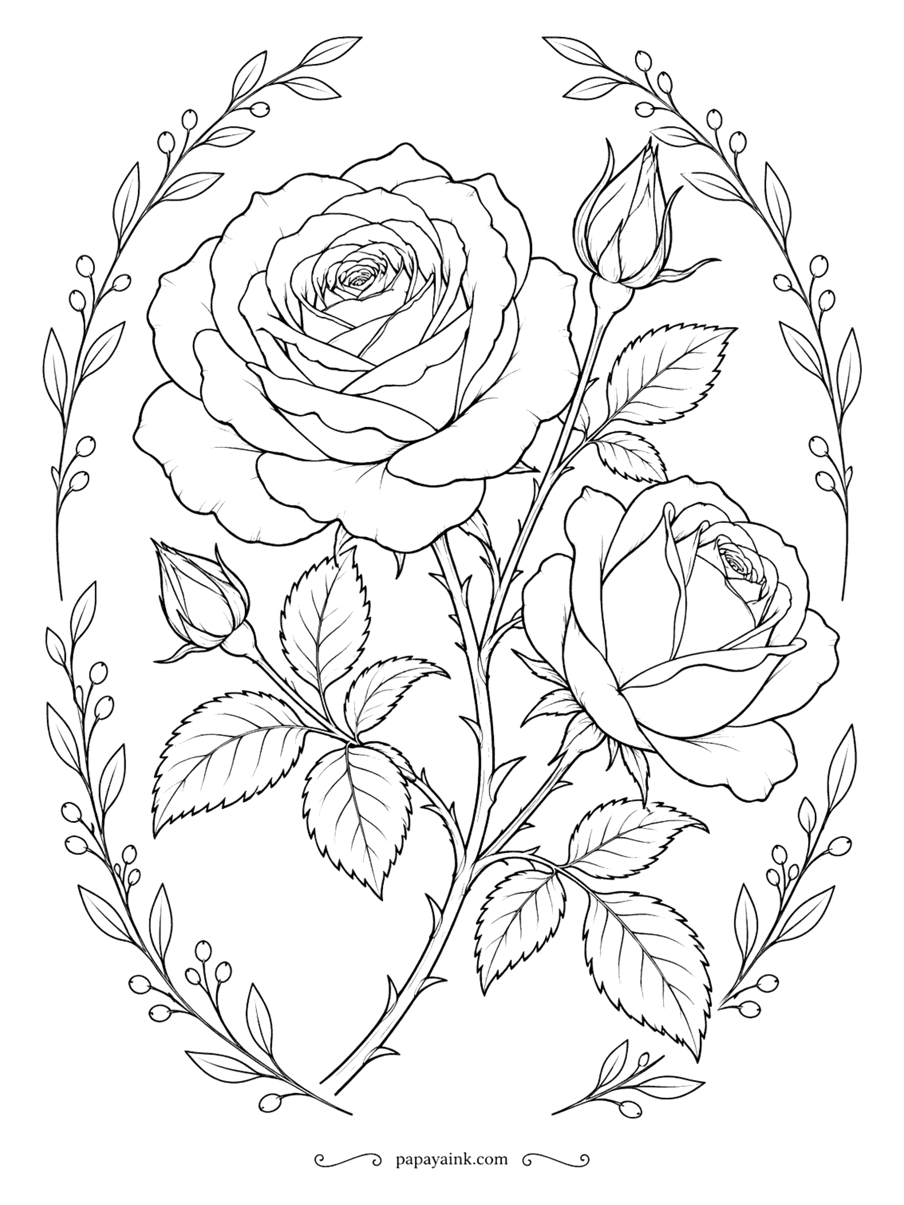Flower Coloring Pages - One full rose, one half open and two buds on a single thorny stem, framed by an oval of slender leafy sprigs. Like a page from an old herbal. Detailed - shade the inner petals darker so the bloom looks deep.
