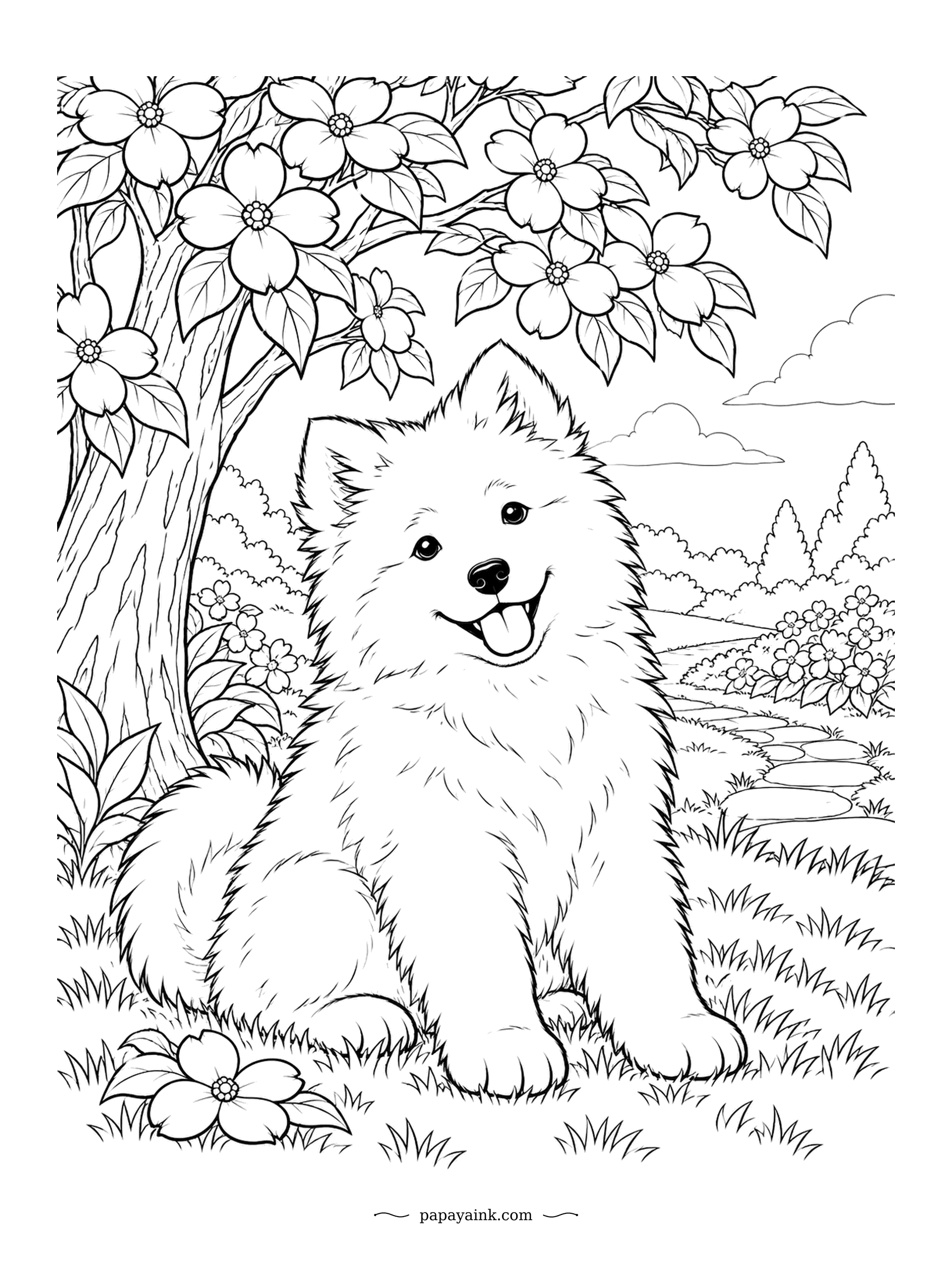 Puppy Coloring Pages - Dogwood blossoms frame a smiling Samoyed in the spring grass. The upturned mouth corners earned the breed the nickname Sammy smile. Detailed - blossoms, path and a soft fluffy coat.