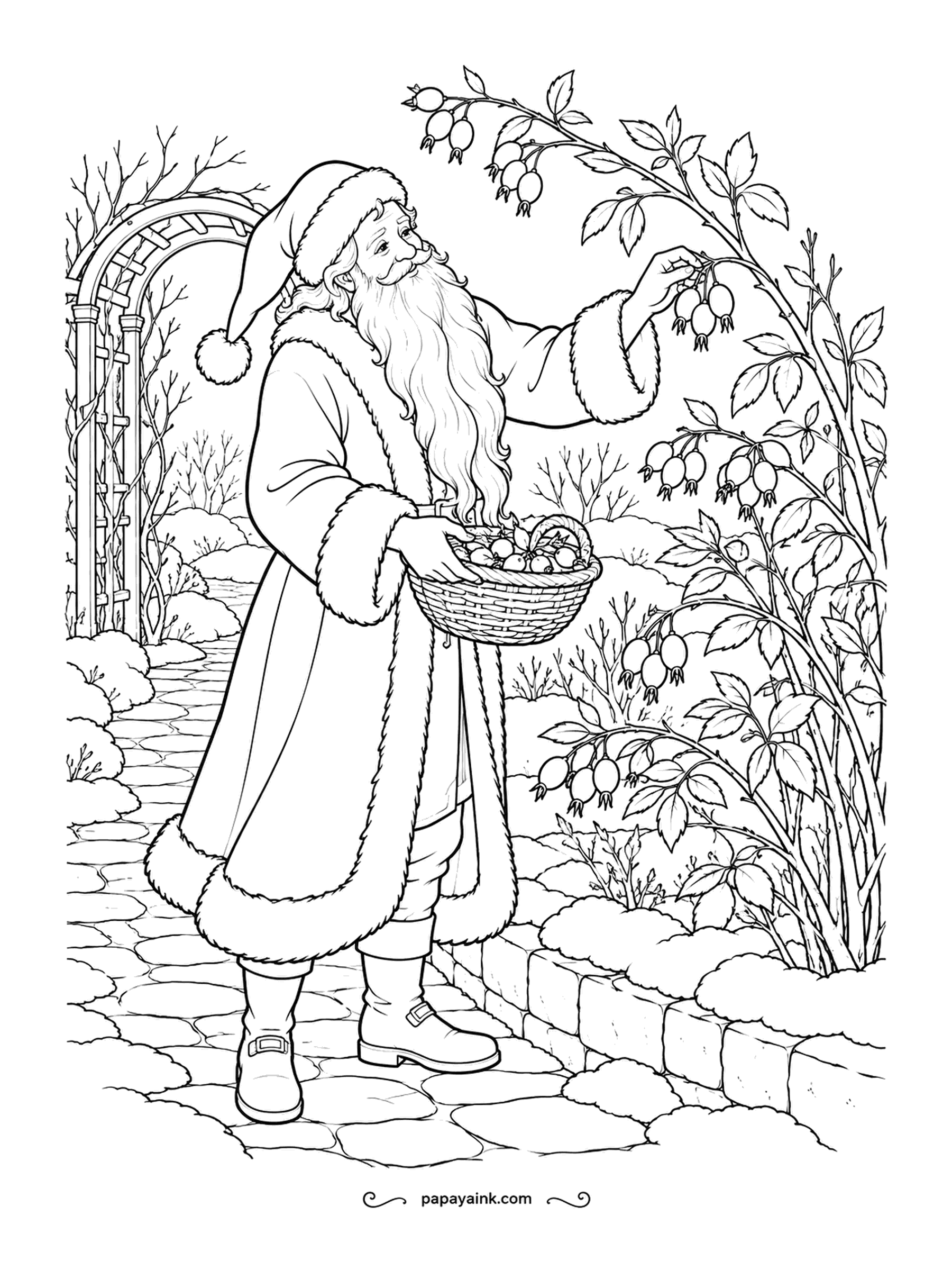 Santa Coloring Pages - Rosehips stay on the bush long after the roses are gone, bright red against the snow. He fills his basket along the garden path. Stone paving, a trellis arch and laden branches reward a patient evening.