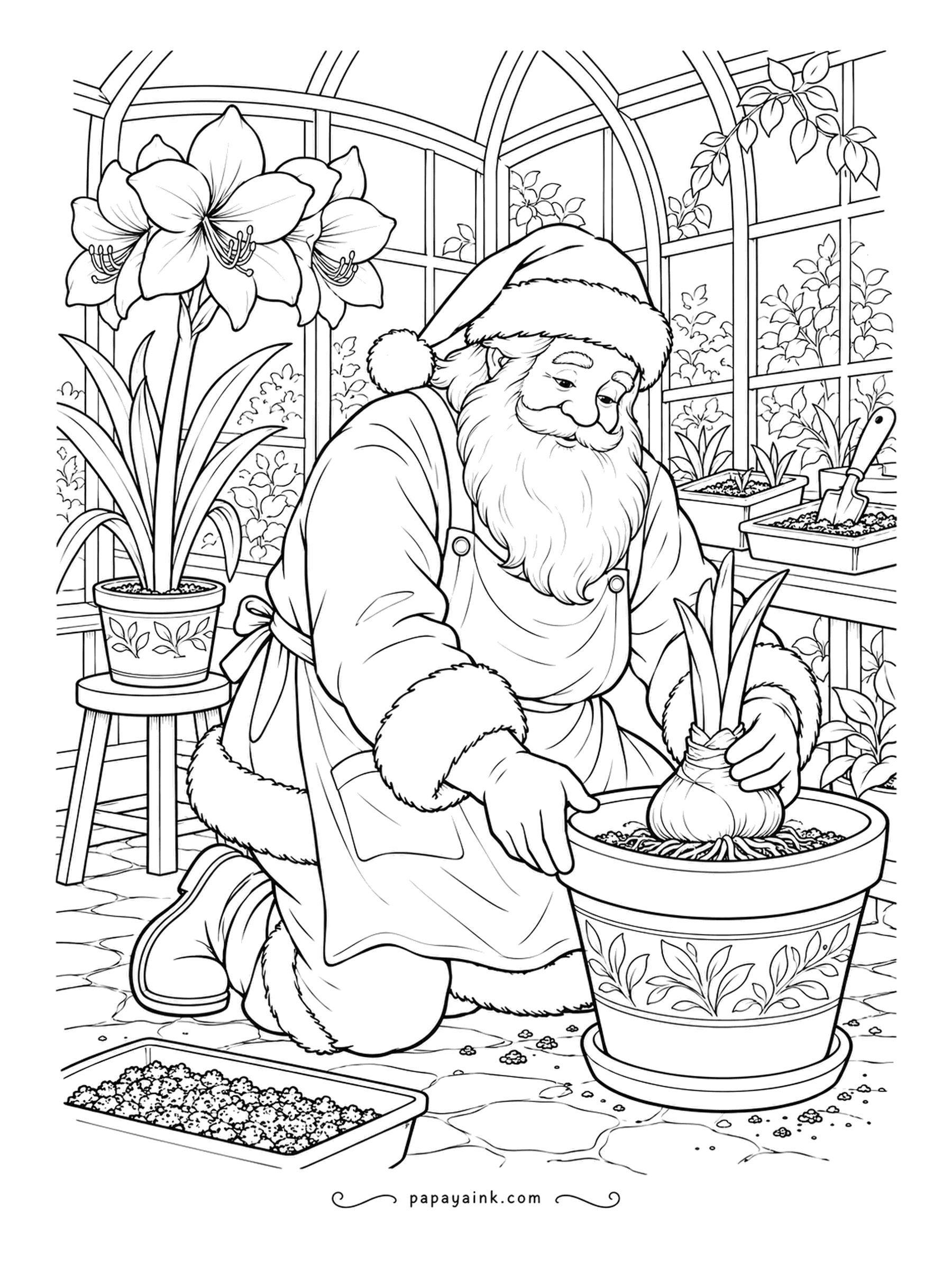 Santa Coloring Pages - Kneeling on the greenhouse floor, he settles a fat amaryllis bulb into a painted pot. An earlier one is already in full bloom on the stand behind him. Red petals, green leaves and terracotta tones.