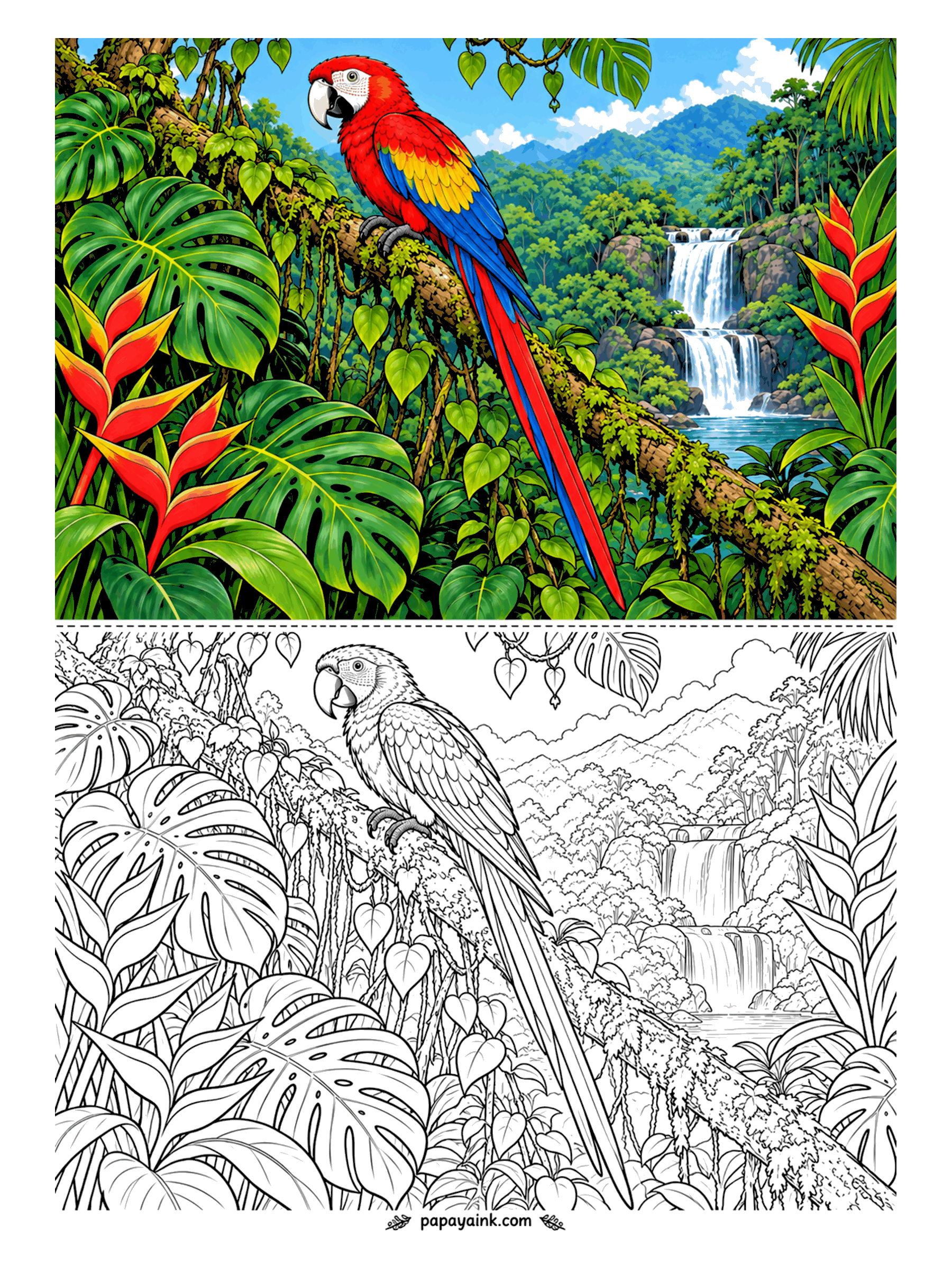 Bird Coloring Pages - Scarlet macaws stay red from beak to tail, with one band of yellow and one of blue across the wing. This one has claimed a branch above a waterfall, heliconias blazing on both sides. The red goes on flat; the leaves want three different greens.