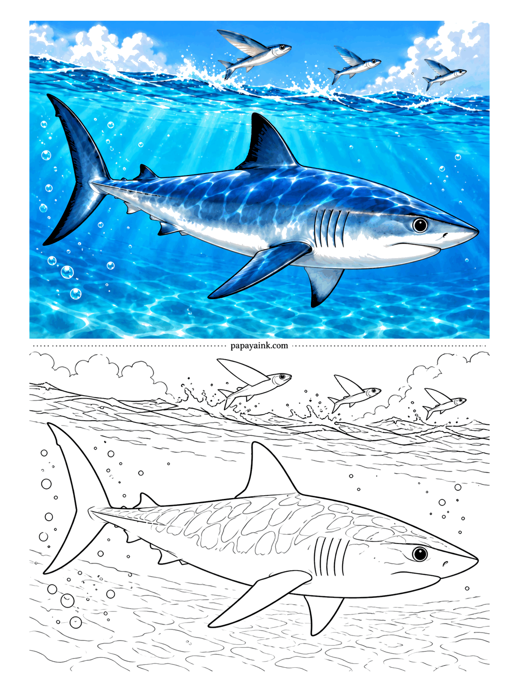 Shark Coloring Pages - Flying fish leave the water in a hurry when a shortfin mako shows up. Makos are the fastest sharks known and can launch themselves clear of the surface. Metallic blue on top, white below, with a few bright streaks of sunlight left on its back.