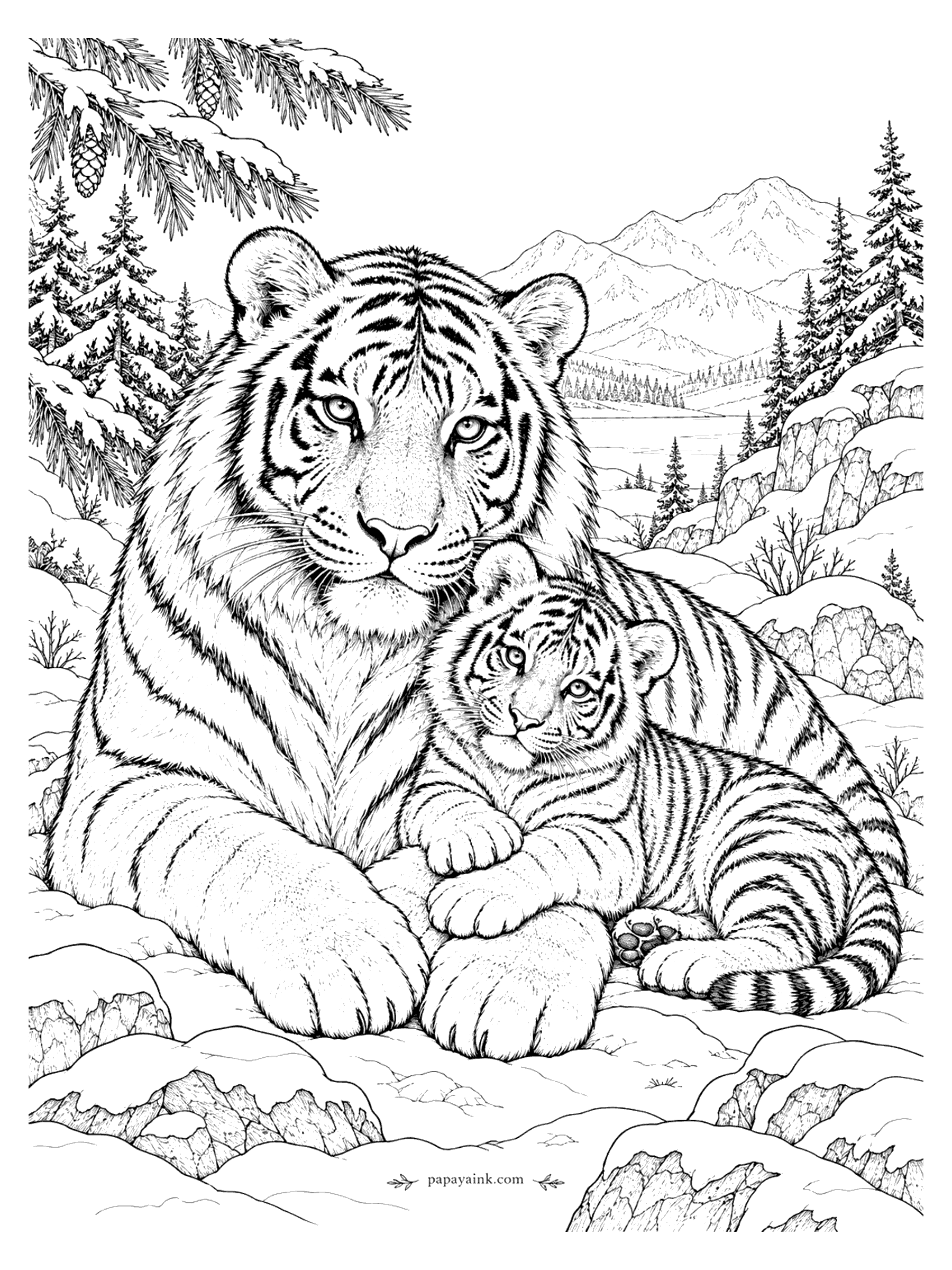 Tiger Coloring Pages - A thick-furred Siberian tiger lies in the snow with its cub tucked in close, under snow-laden pines with mountains behind. Detailed: long fur for soft pencil shading.
