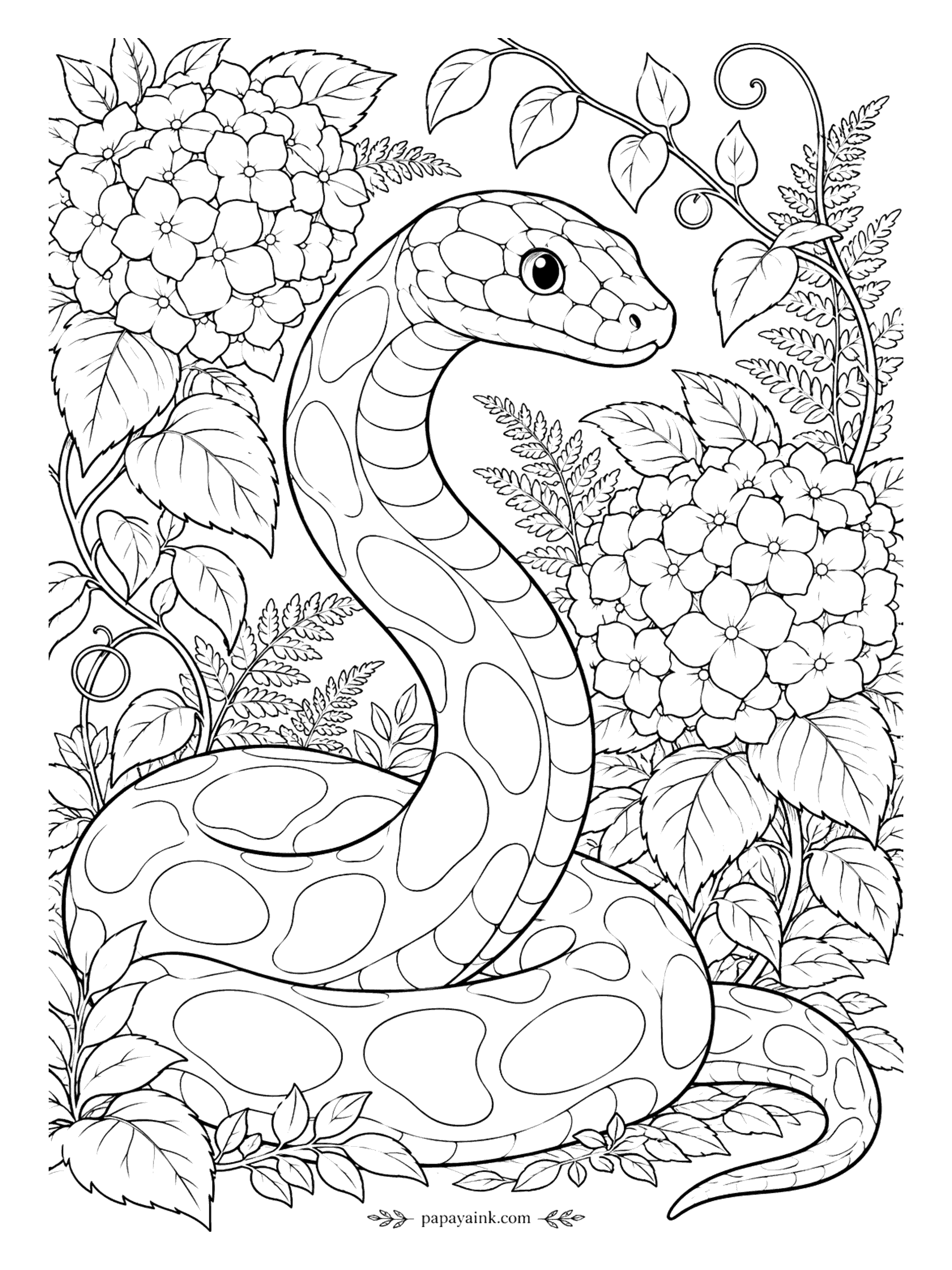 Snake Coloring Pages - A close portrait: the snake rises between two hydrangea heads, scales drawn one by one, with ferns and a curling vine behind. Nothing to color but pattern, which is rather the point. Detailed.