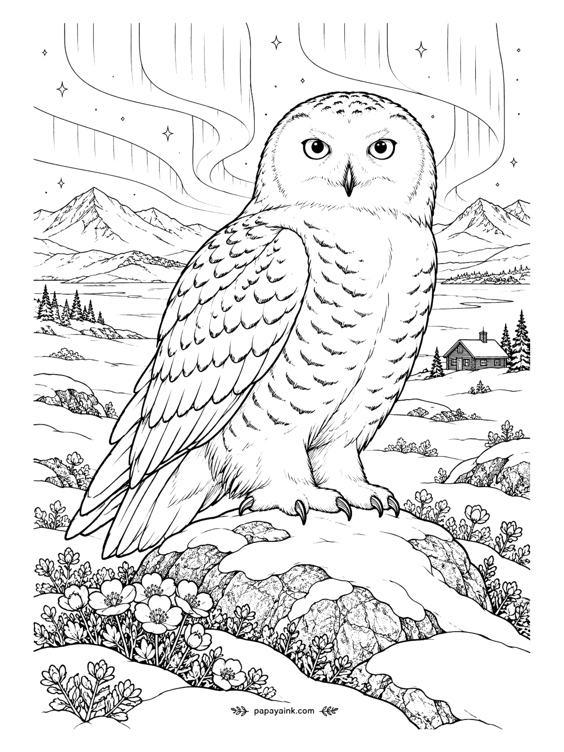 Bird Coloring Pages - An owl that hunts by daylight, because in the Arctic summer there is nothing else. A snowy owl perches on a snow-capped rock under the northern lights, a cabin far behind. White with gray barring, yellow eyes, and the aurora in green and violet ribbons.