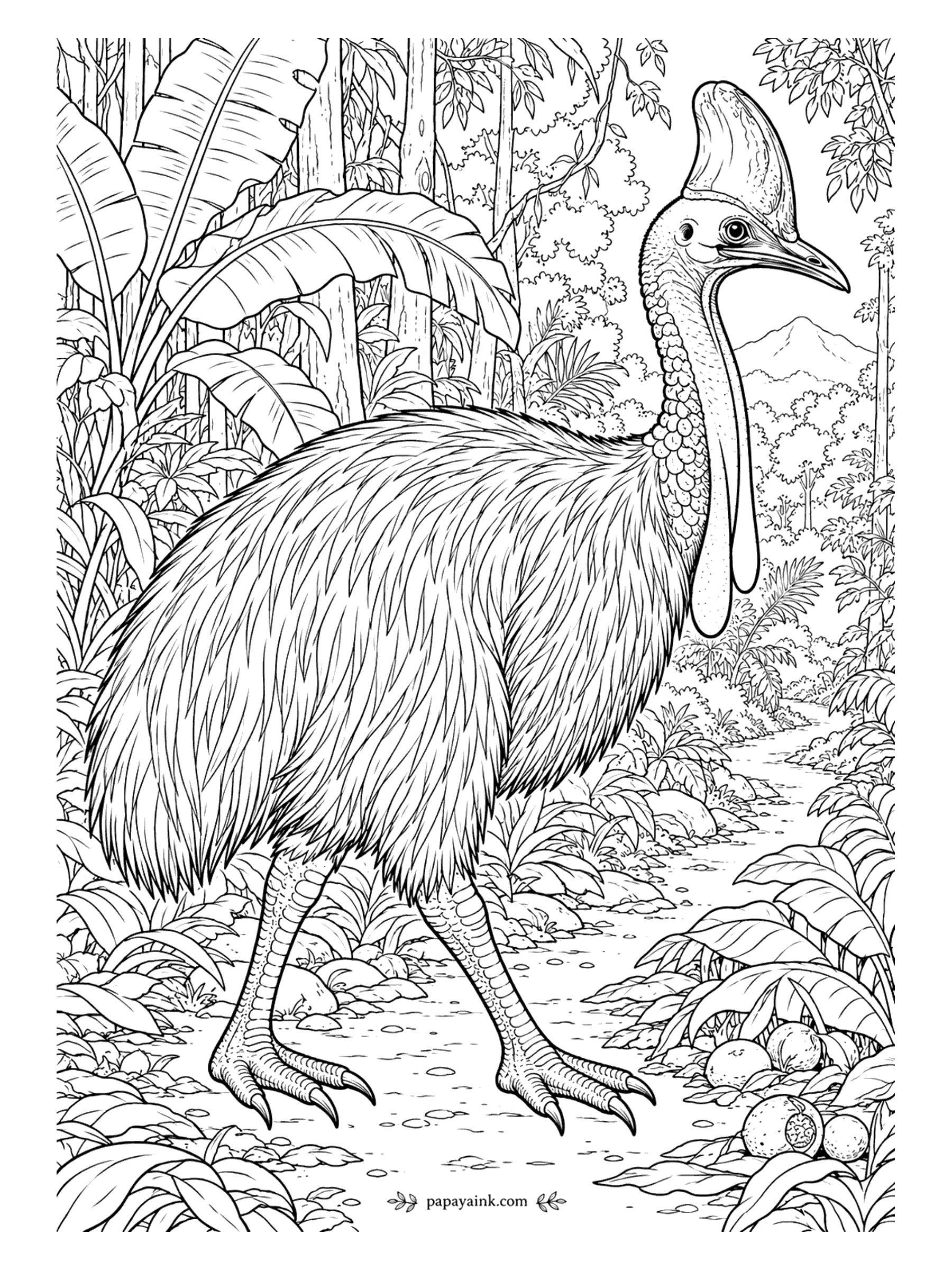 Bird Coloring Pages - A dinosaur that never got the memo. The southern cassowary pushes through rainforest undergrowth past fallen fruit, horn-like casque on its head and two wattles hanging from its neck. Black hairlike feathers, bright blue neck, red wattles, and that casque in dull brown. Detailed.