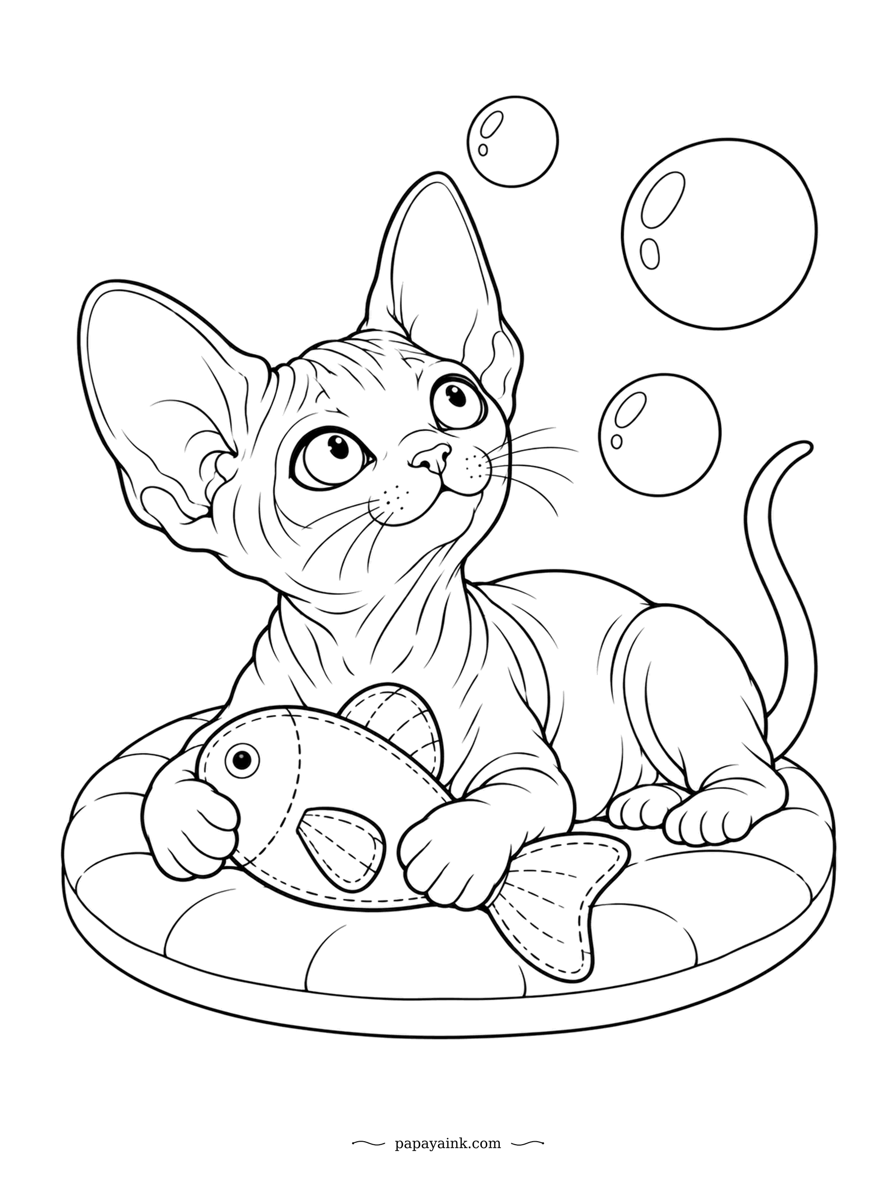 Kitten Coloring Pages - Hugging a plush fish on a cushion, bubbles overhead. A Sphynx kitten has no fur to speak of, only fine fuzz, so the wrinkles and the huge ears do the work. Shade the folds lightly and leave the belly pale.