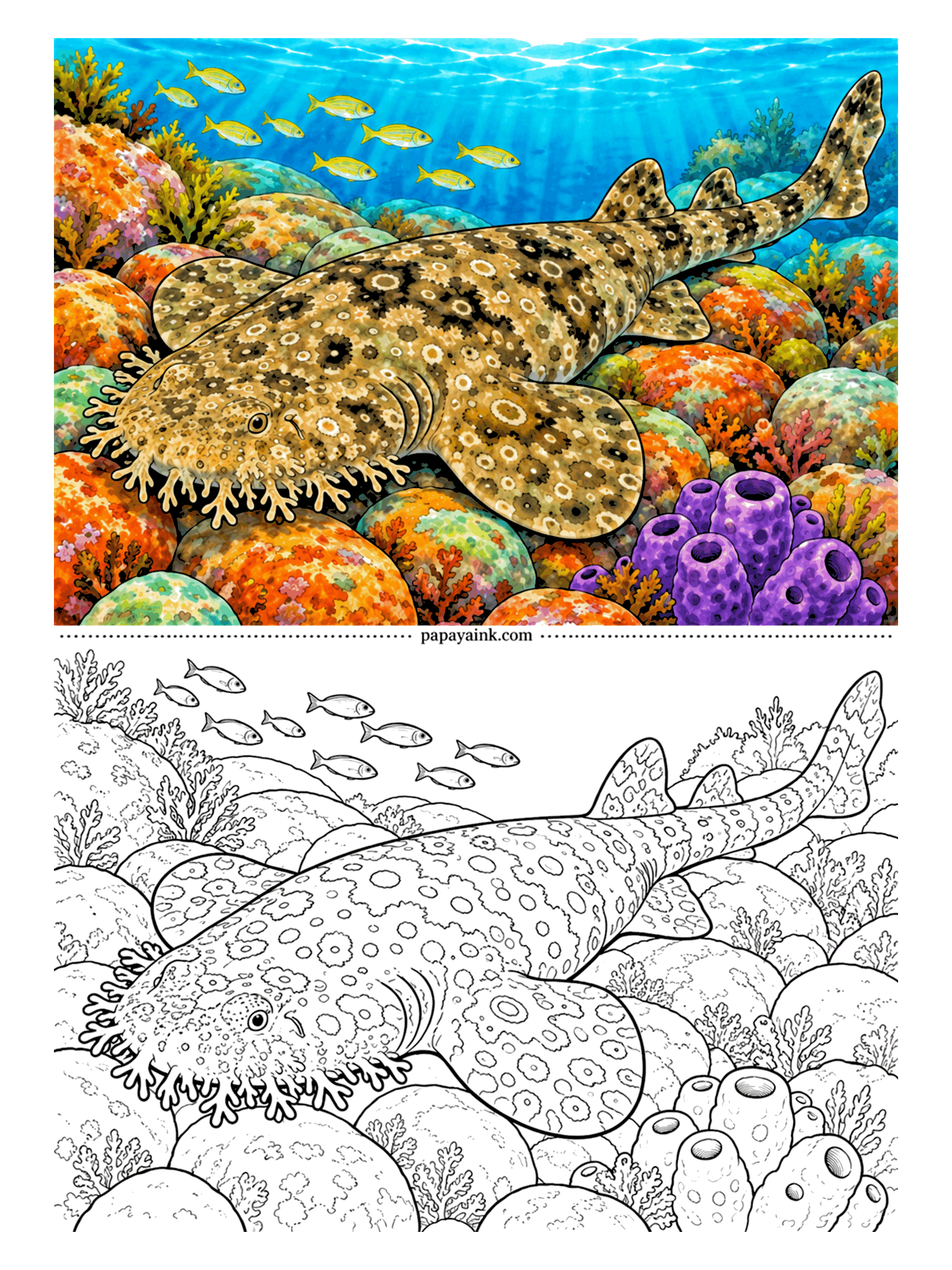 Shark Coloring Pages - Find the mouth. A fringe of branching skin flaps hides the outline of the wobbegong's head, so it lies on the reef looking like part of it and waits for fish to wander close. Detailed - every rosette on its back is a separate shape.