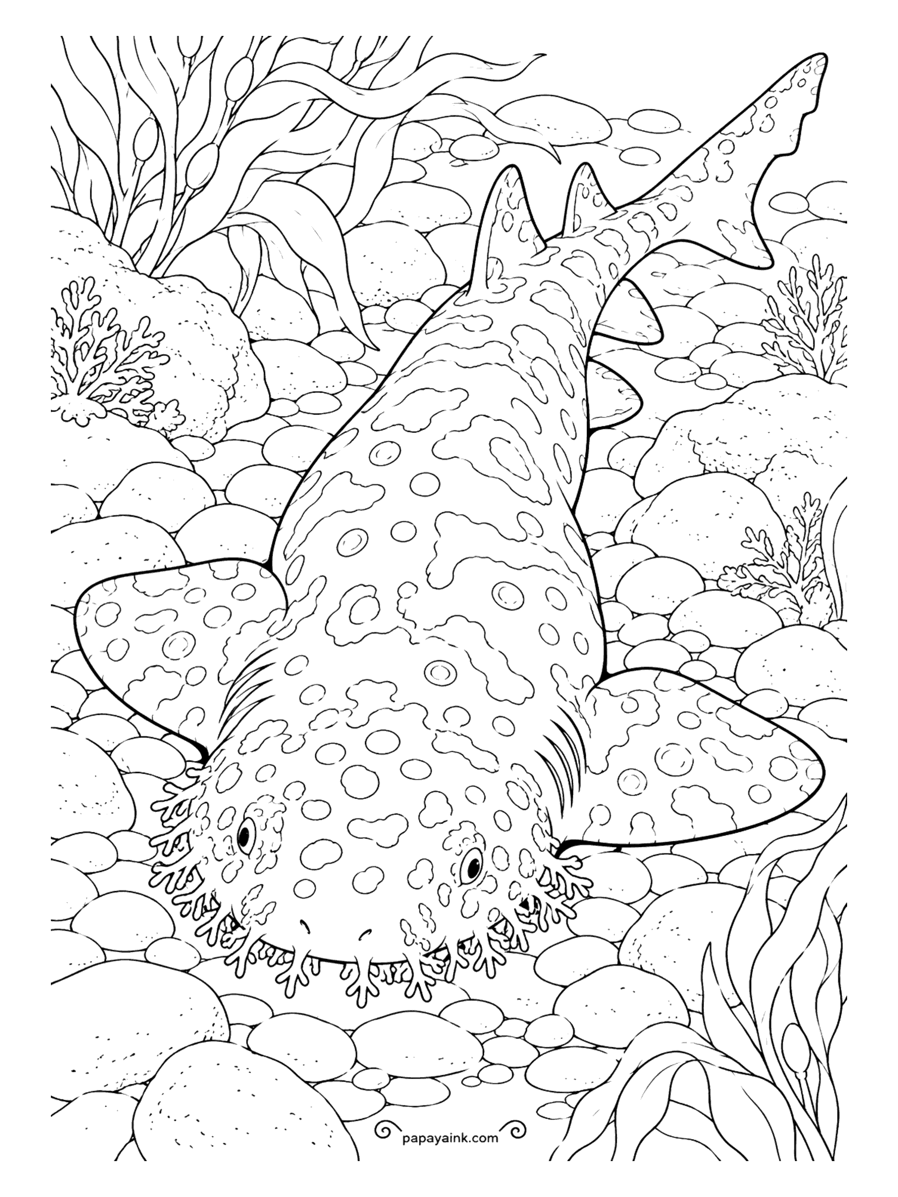 Shark Coloring Pages - Wobbegong is thought to come from an Aboriginal Australian word meaning shaggy beard, and the frilly fringe around the mouth explains why. Flat and patient, it waits on the rocks for dinner to arrive. Detailed - marbling over every inch of the body.