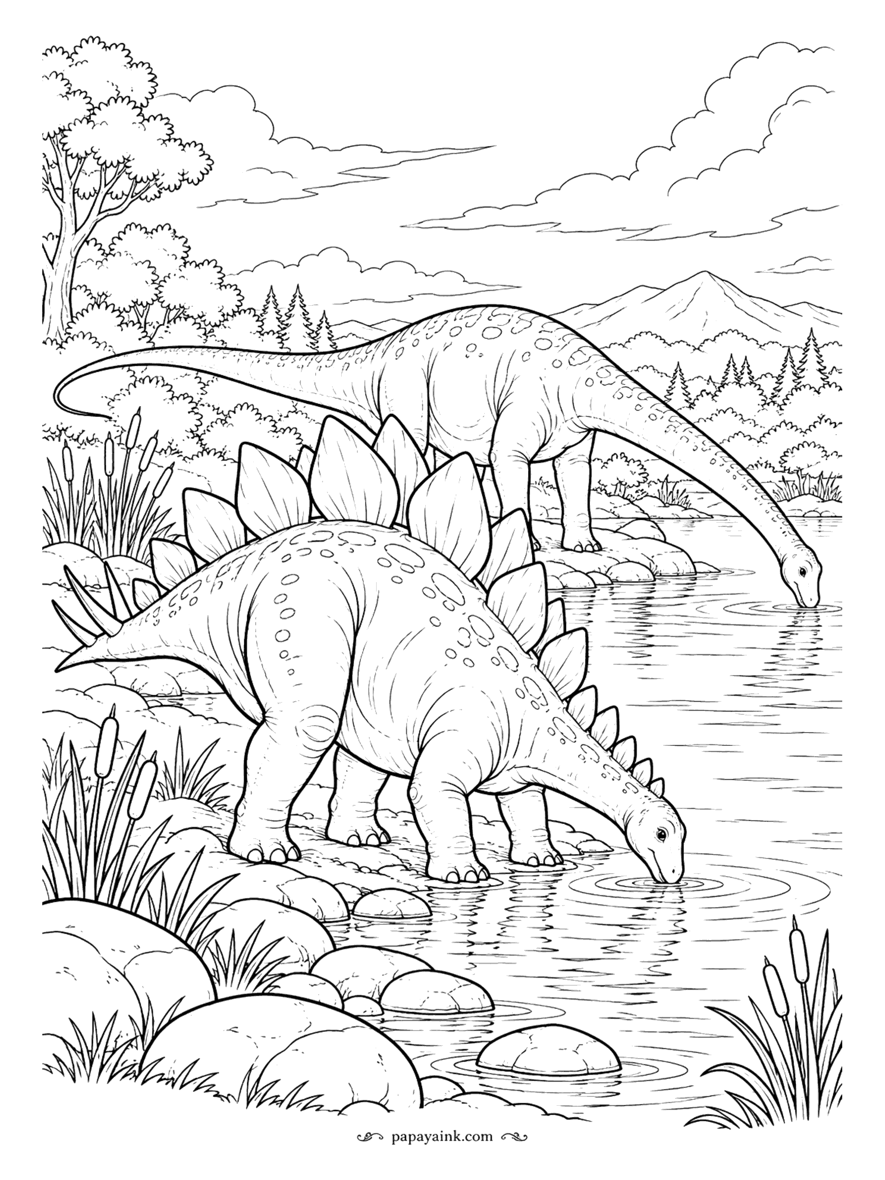 Stegosaurus Coloring Pages - Diplodocus could stretch its long neck down to the water while standing well back on the bank. Next to it, a stegosaurus drinks the usual way, wading in among the stones. Cattails, rocks and a wide river for broad, calm strokes.
