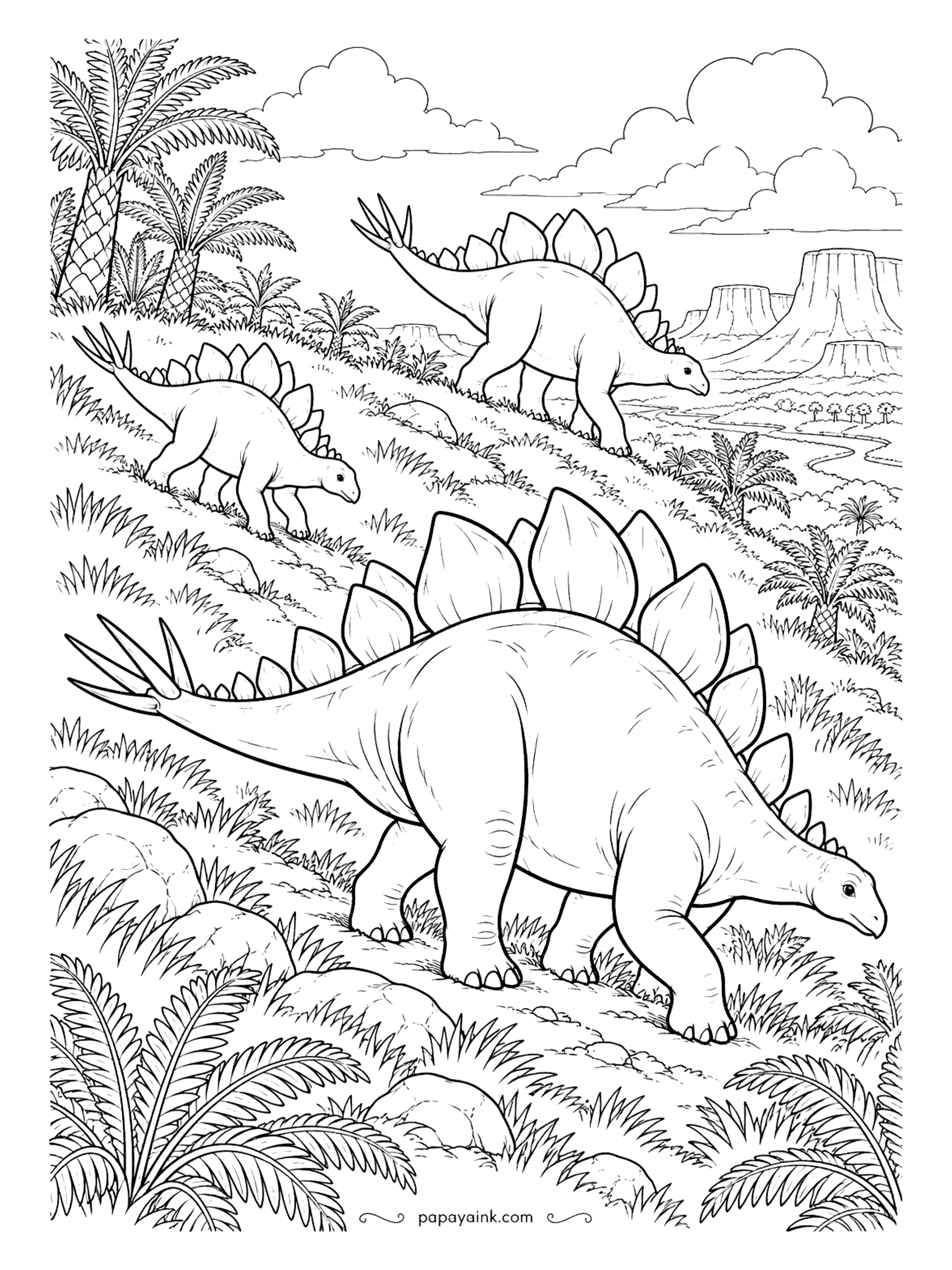 Stegosaurus Coloring Pages - Up the slope in single file - two adults climb a grassy hillside while the third heads down toward the ferns. Cycads crown the ridge, and flat-topped mesas spread out behind. Detailed - grass tufts all over.