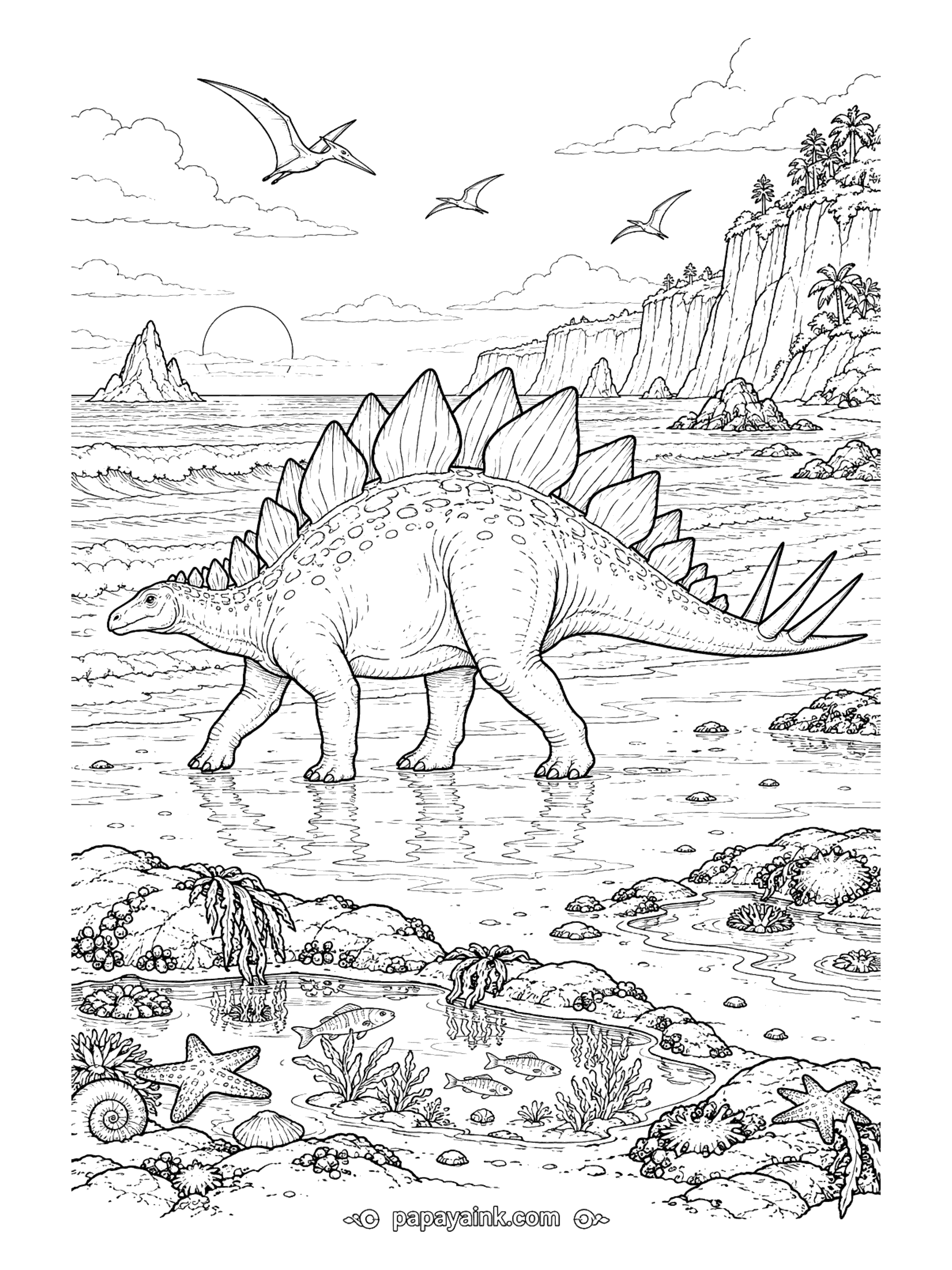 Stegosaurus Coloring Pages - Stegosaurus walking along a wet beach at sunset, with tide pools full of starfish, shells, and small fish in front and pterosaurs gliding over the sea cliffs. Detailed.