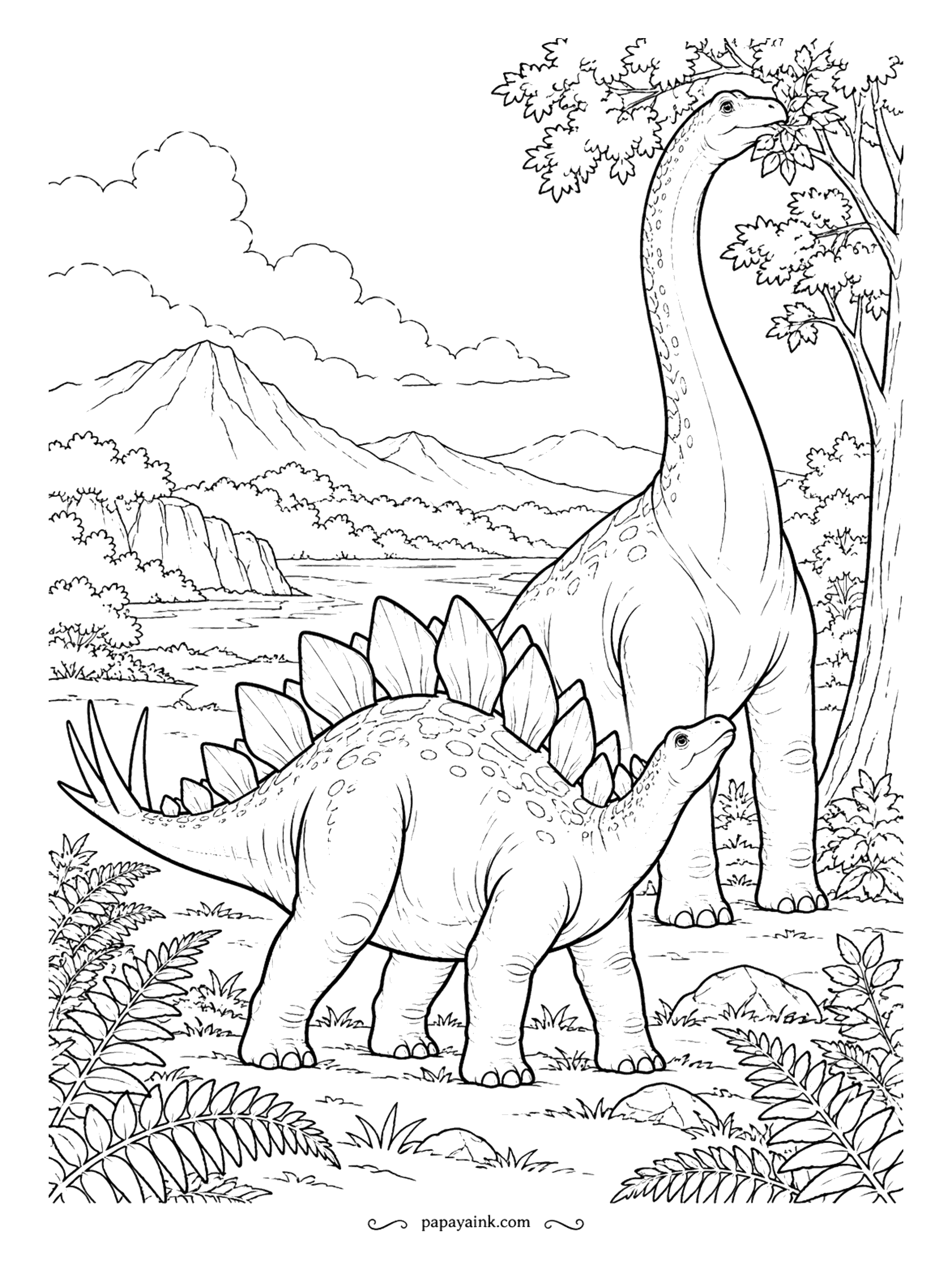 Stegosaurus Coloring Pages - Brachiosaurus browsed treetops; Stegosaurus kept its head near the ground. The two of them barely competed for food, which this page shows neatly - one neck in the leaves, one face in the ferns, a lake and mountains behind.