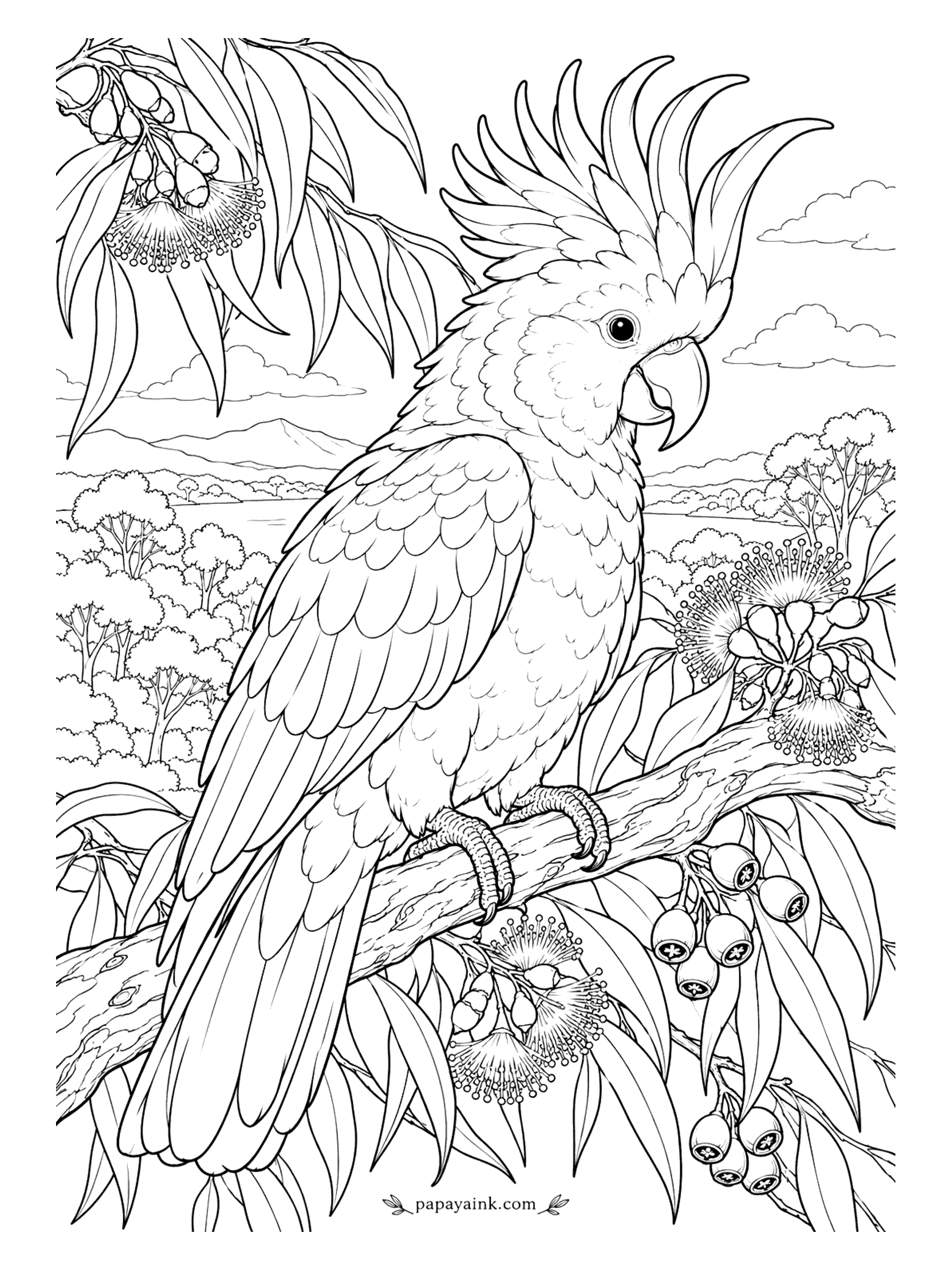 Bird Coloring Pages - White bird, white page, one yellow crest: an easy sheet that still looks finished. A sulphur-crested cockatoo raises its crest on a gum branch with eucalyptus flowers and gumnuts. Keep the body white with gray shadows; let the crest and the hills carry the color.