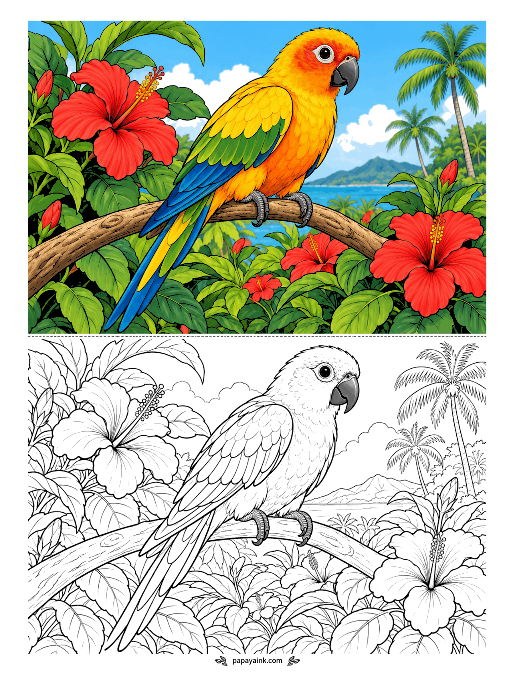 Bird Coloring Pages - Sun conures are named for the sunset on their chest: yellow sliding into orange. This one perches among red hibiscus, palms and sea behind. Green wings, blue flight feathers, a white ring around the eye; the hibiscus can match the bird's orange or fight it.